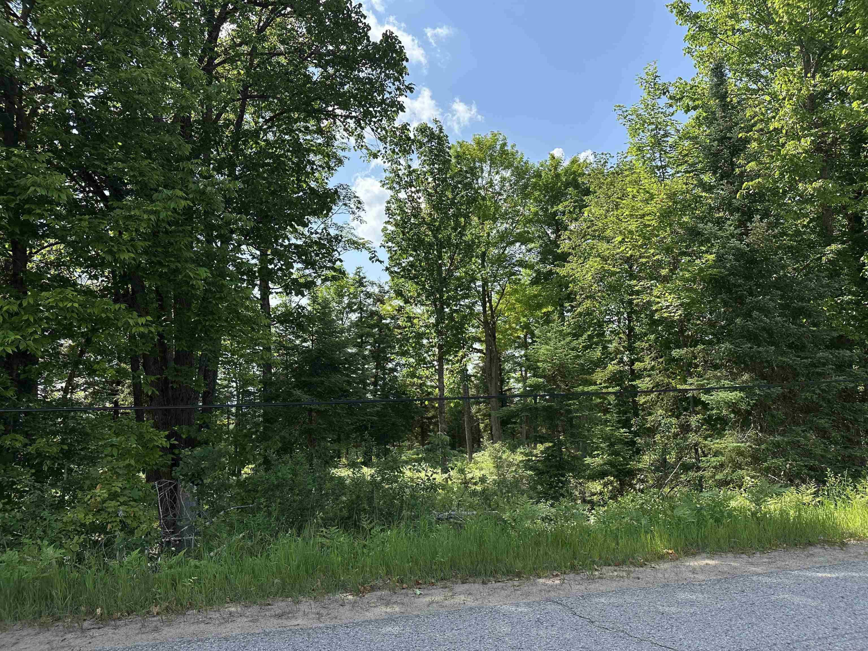 N17375 Co Rd 579 Road, Hermansville, MI 49847 — Photo 3