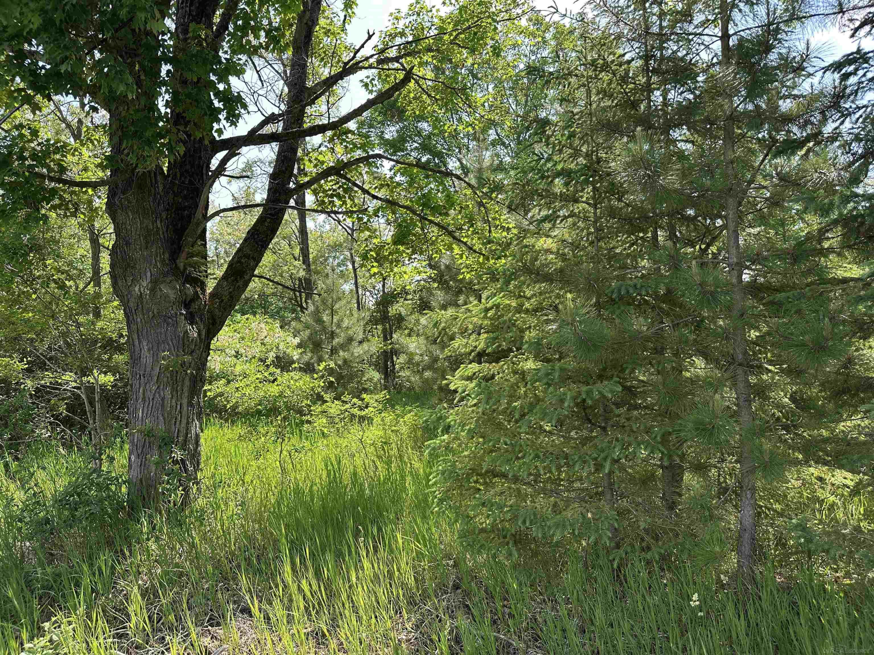 N17375 Co Rd 579 Road, Hermansville, MI 49847 — Photo 7