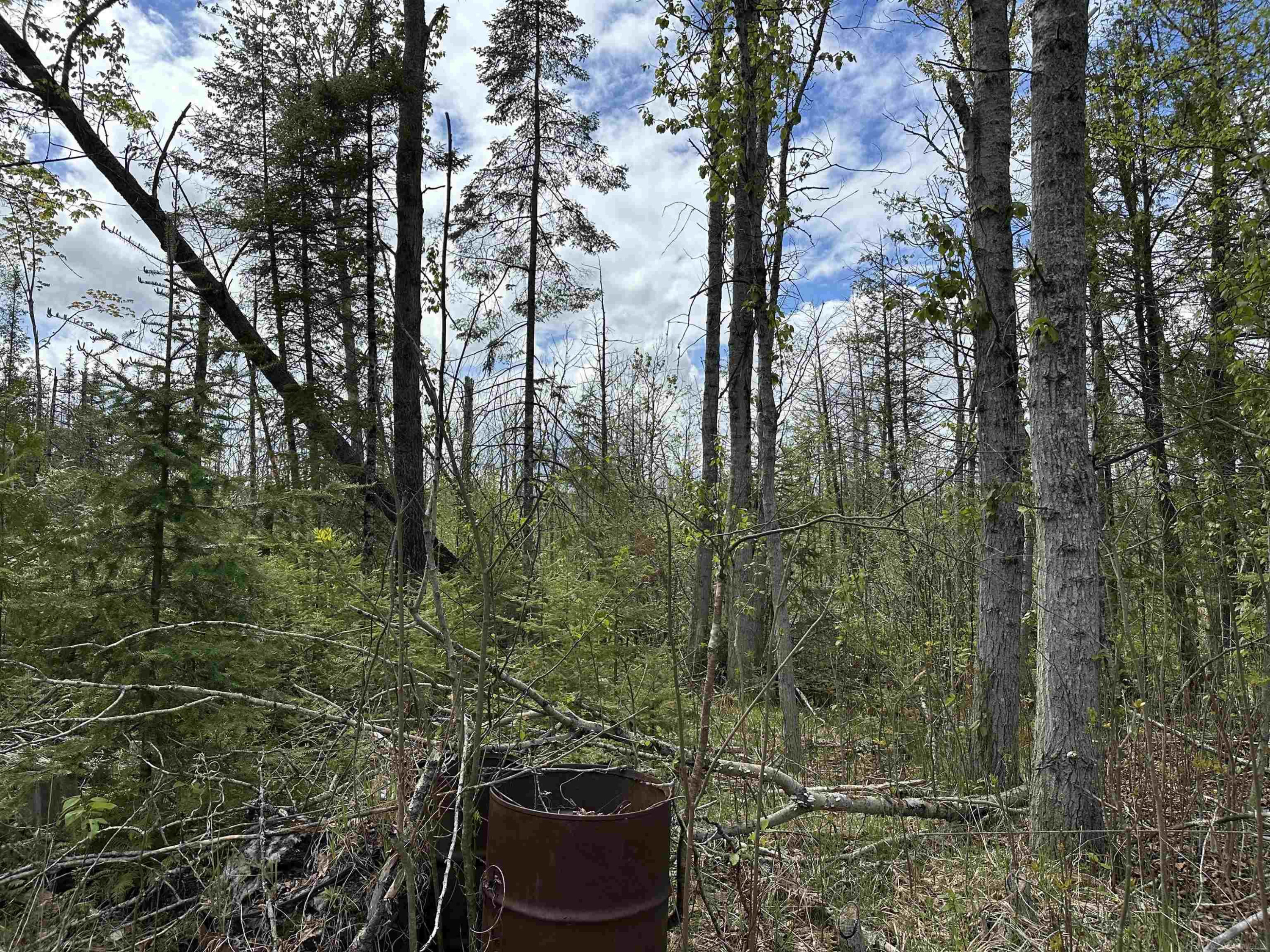 N17375 Co Rd 579 Road, Hermansville, MI 49847 — Photo 12
