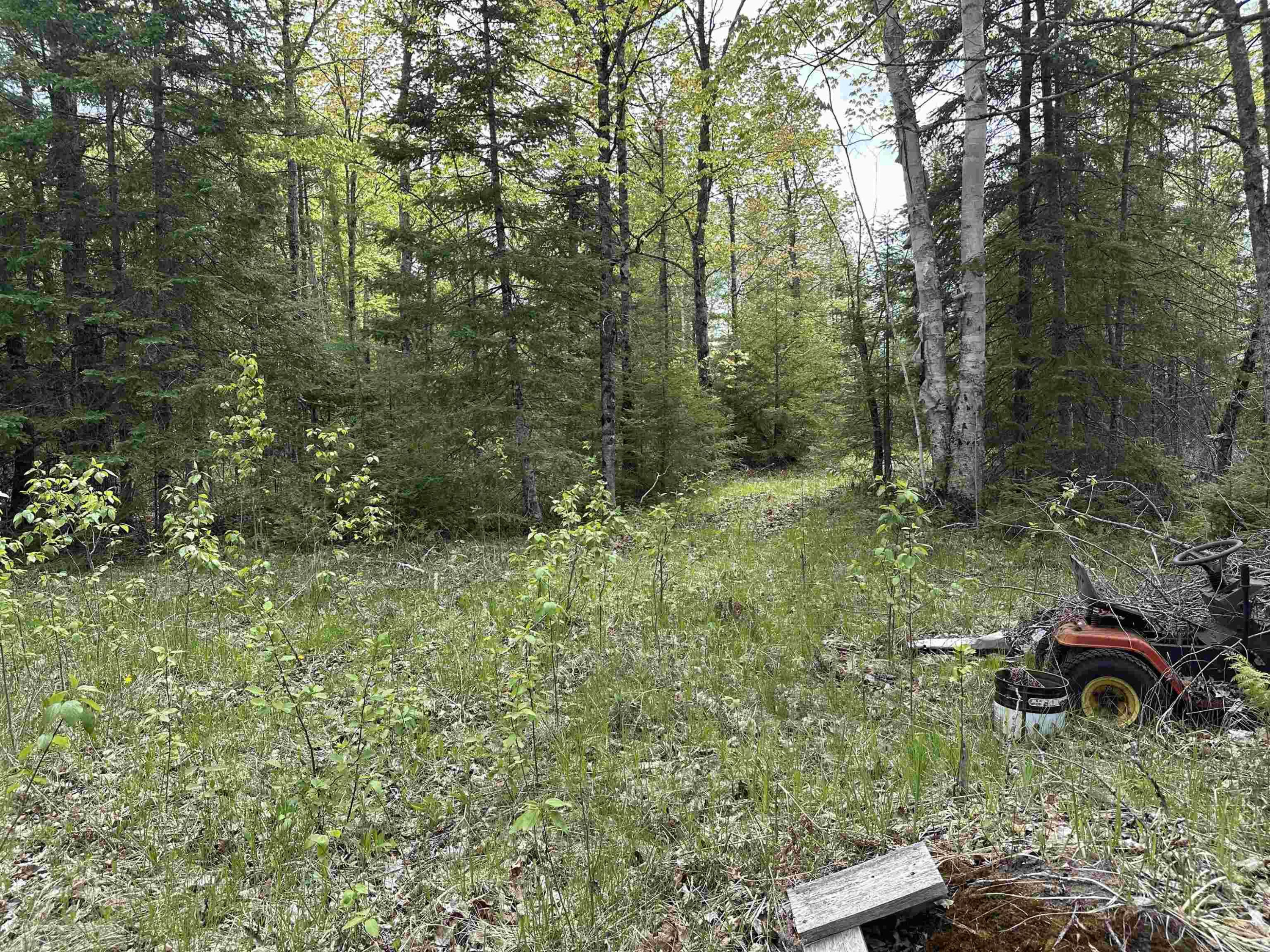 N17375 Co Rd 579 Road, Hermansville, MI 49847 — Photo 13