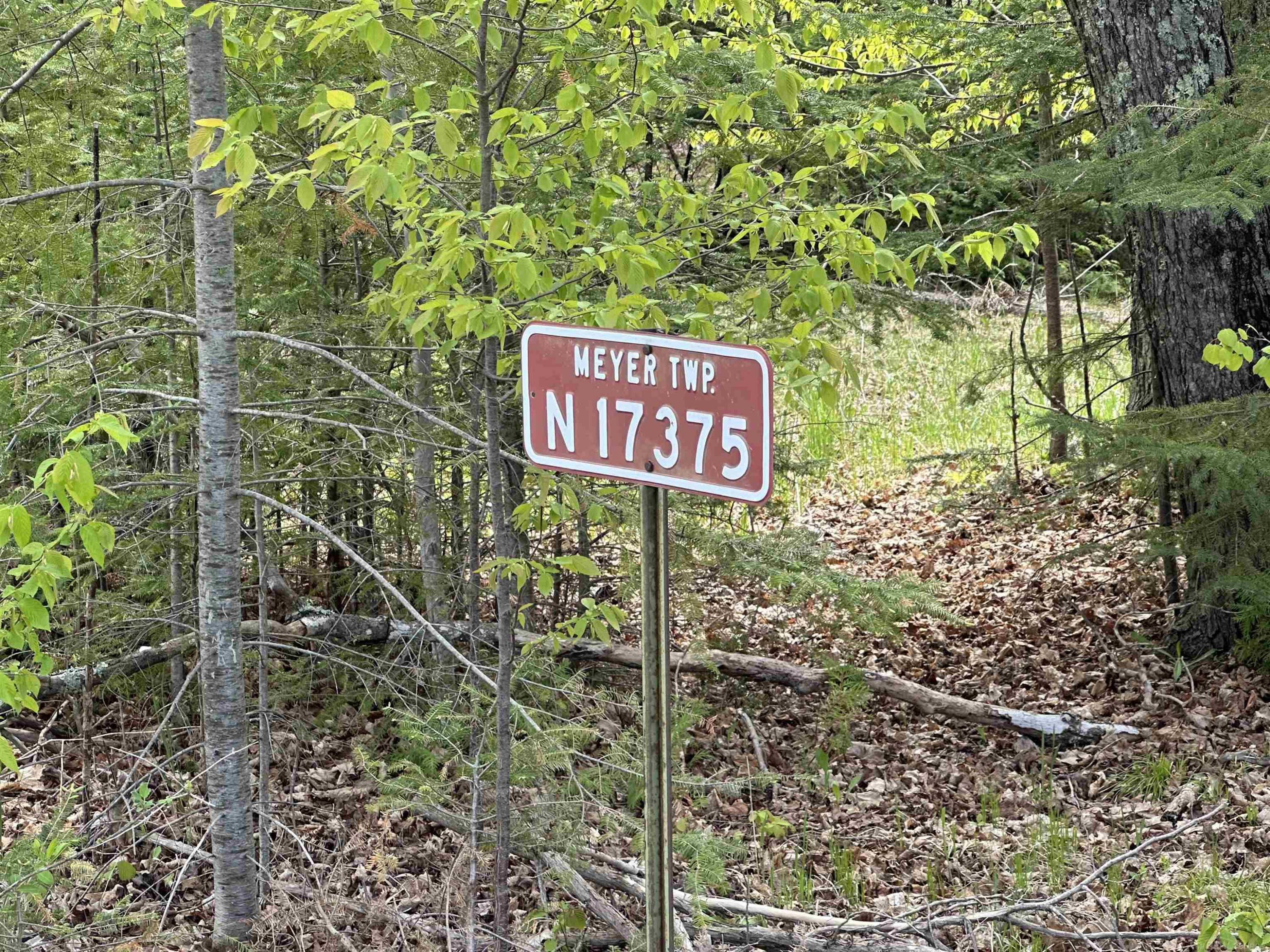 N17375 Co Rd 579 Road, Hermansville, MI 49847 — Photo 25
