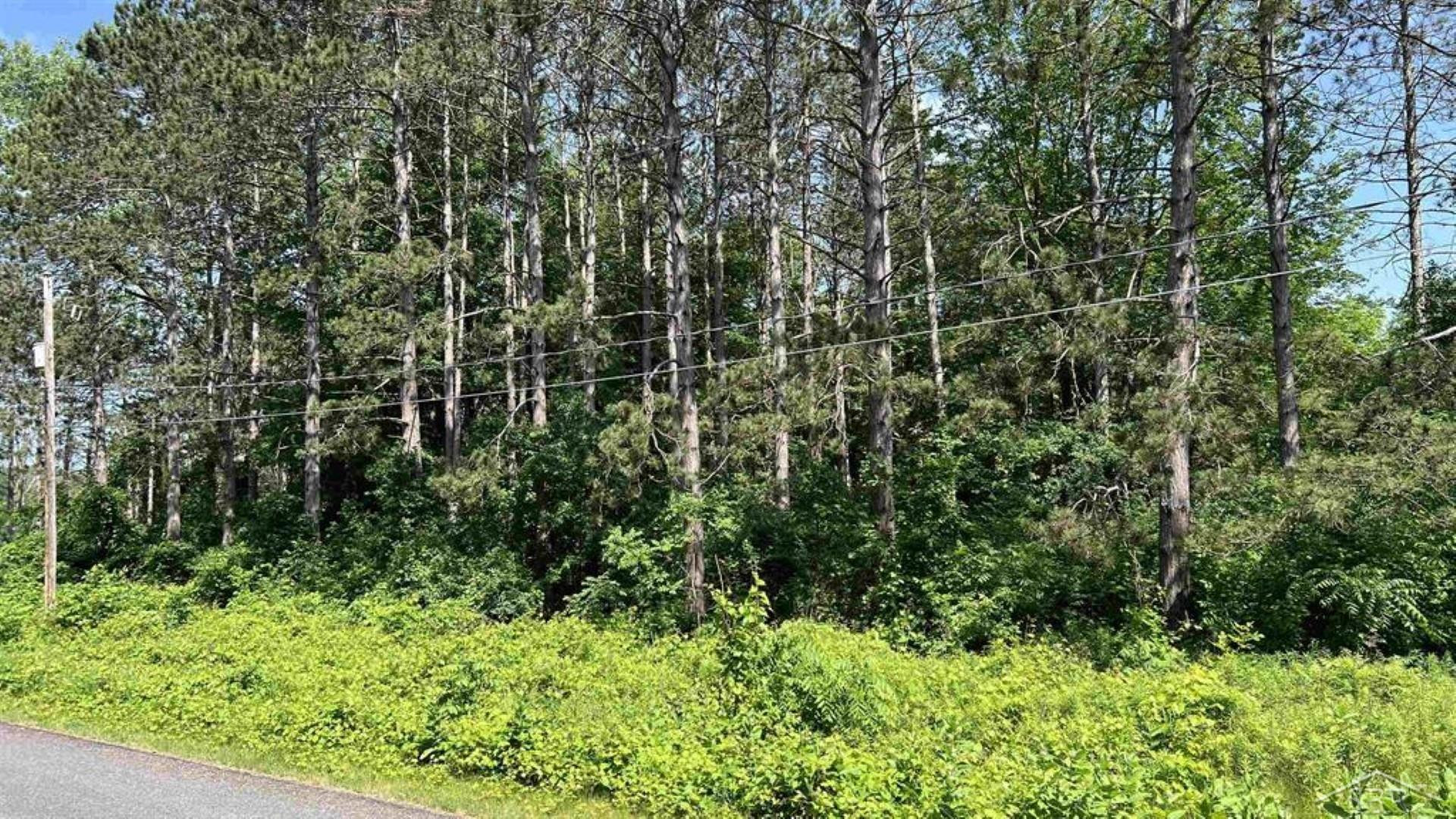 VL W Ingham Road, Sanford, MI 48657 — Photo 3