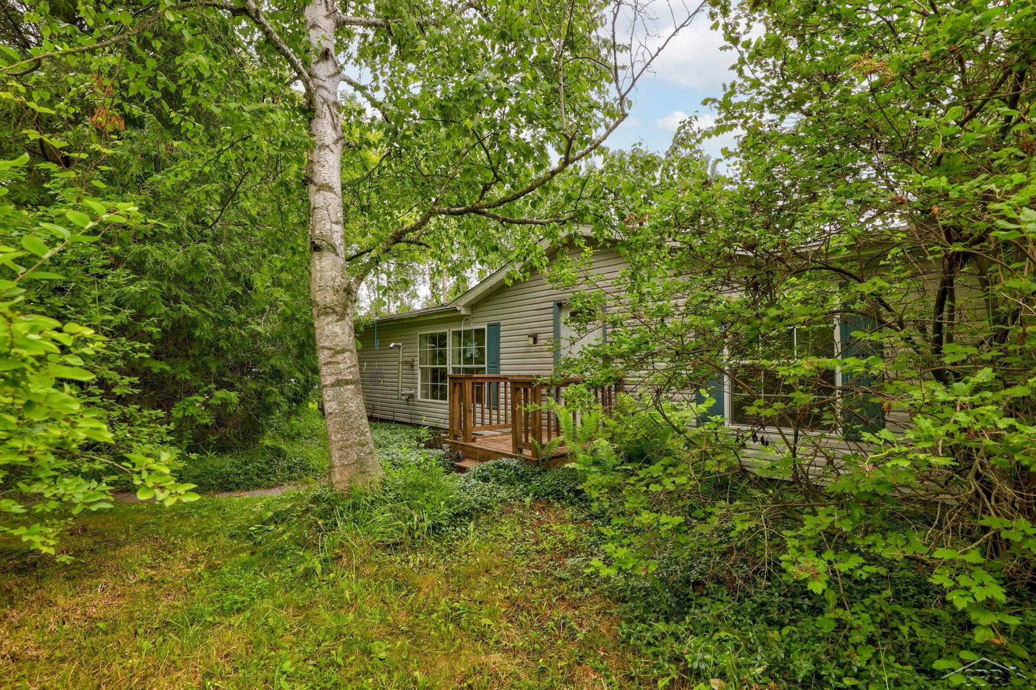 445 W Snover Road Road, MI 48744 — Photo 2