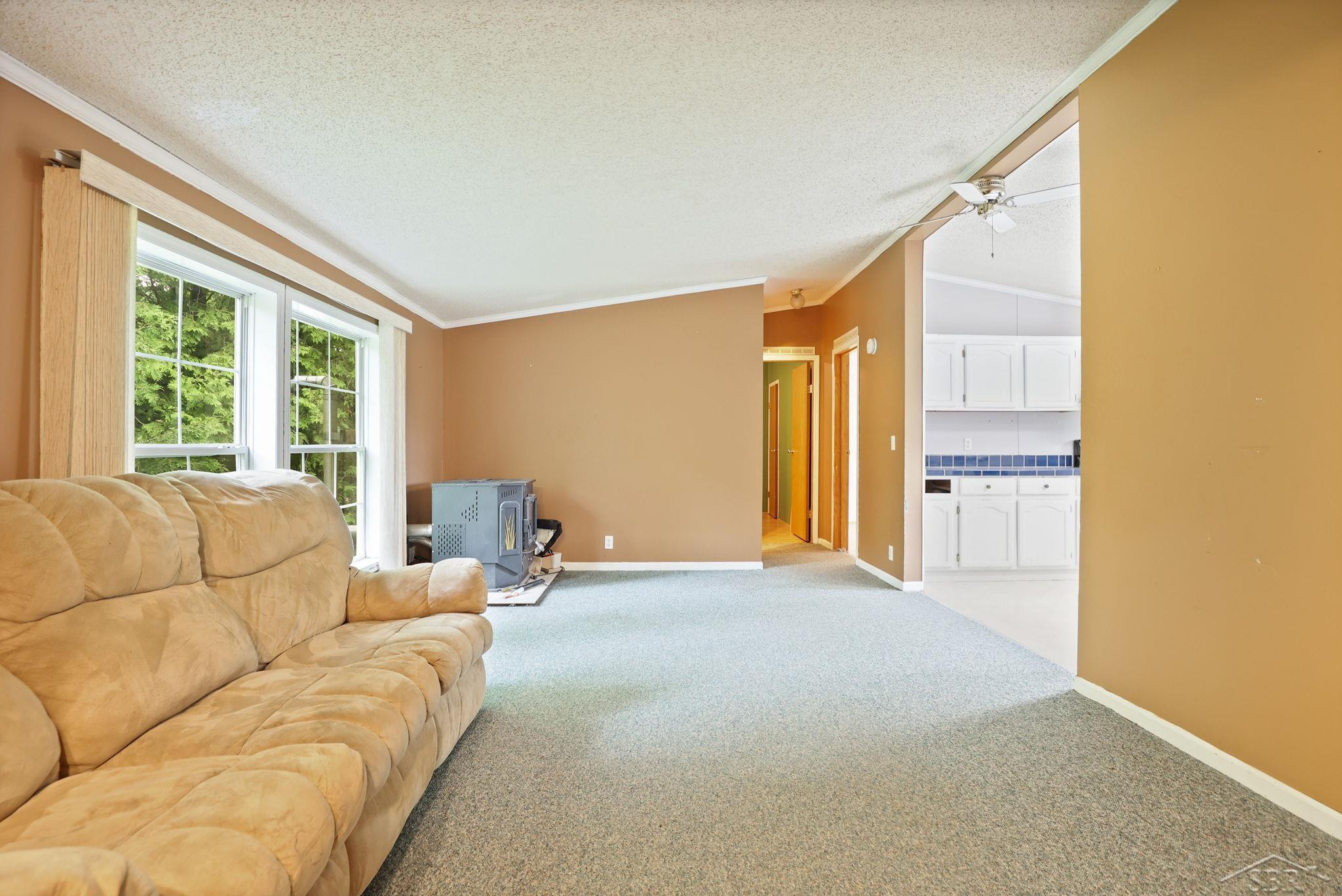 445 W Snover Road Road, MI 48744 — Photo 4
