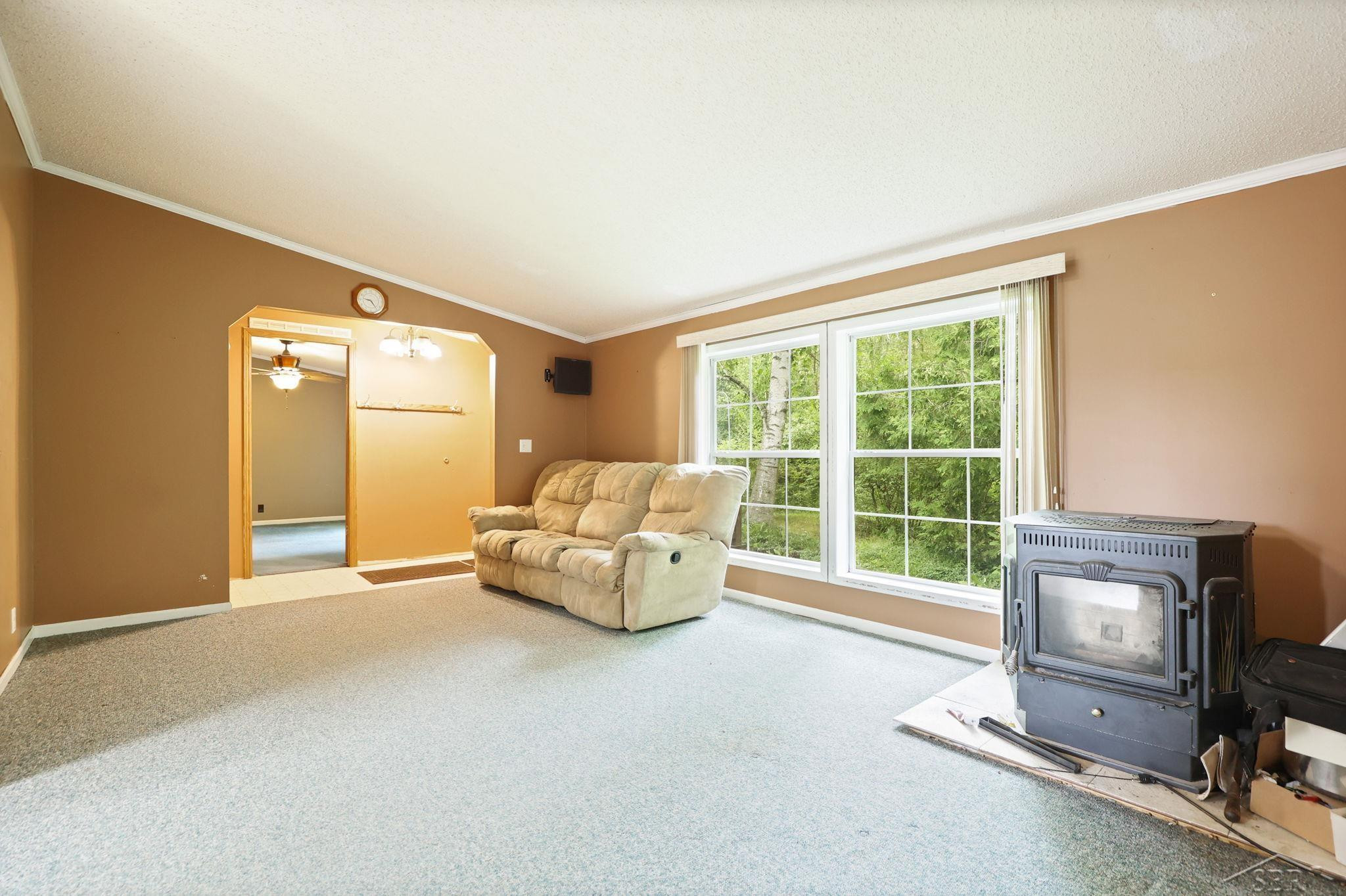 445 W Snover Road Road, MI 48744 — Photo 5