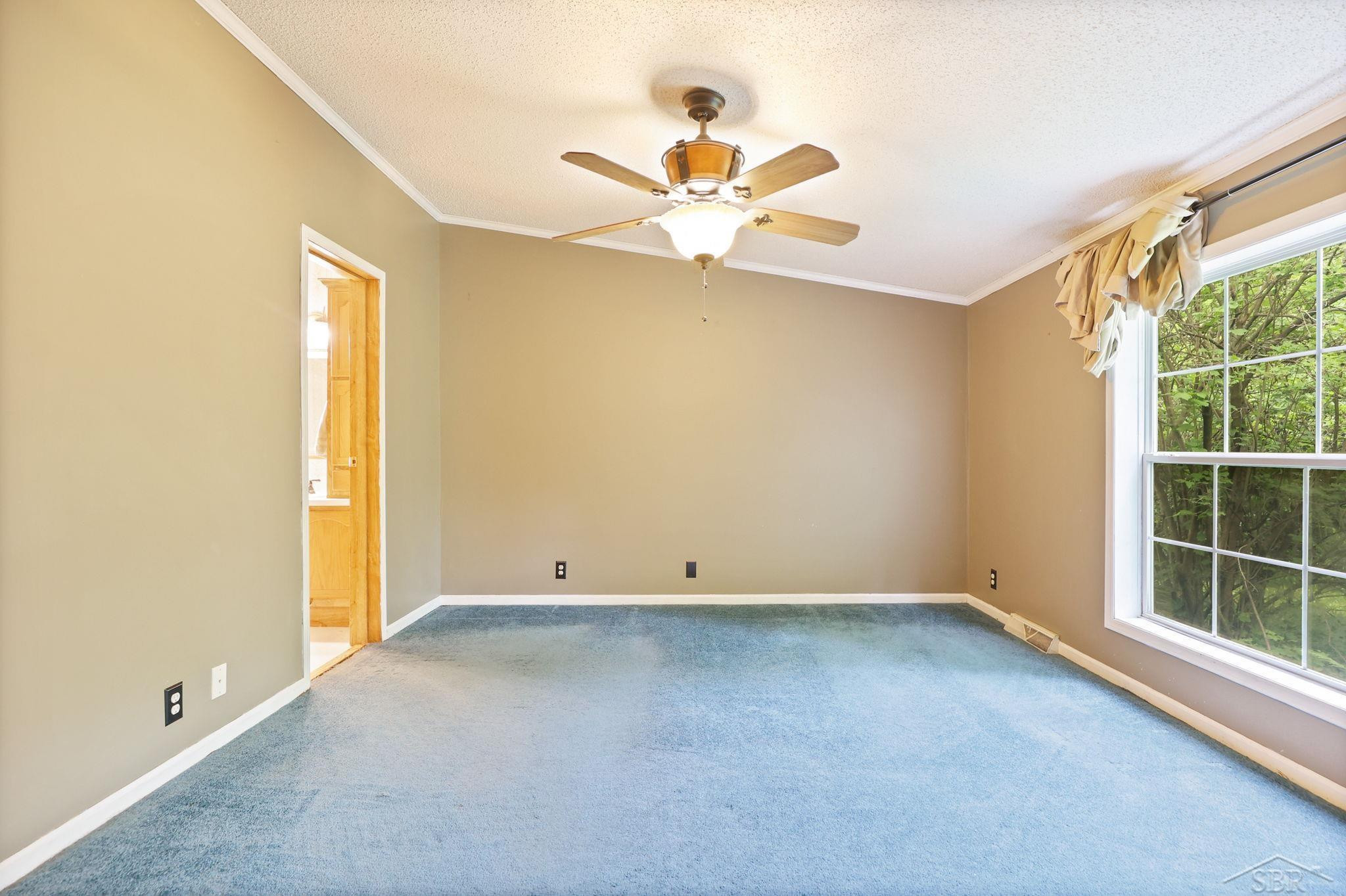 445 W Snover Road Road, MI 48744 — Photo 10