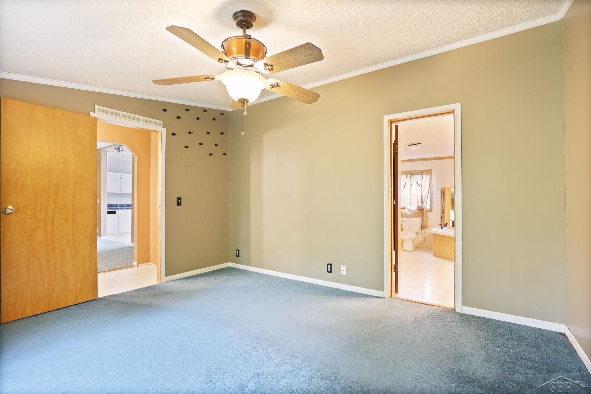 445 W Snover Road Road, MI 48744 — Photo 11