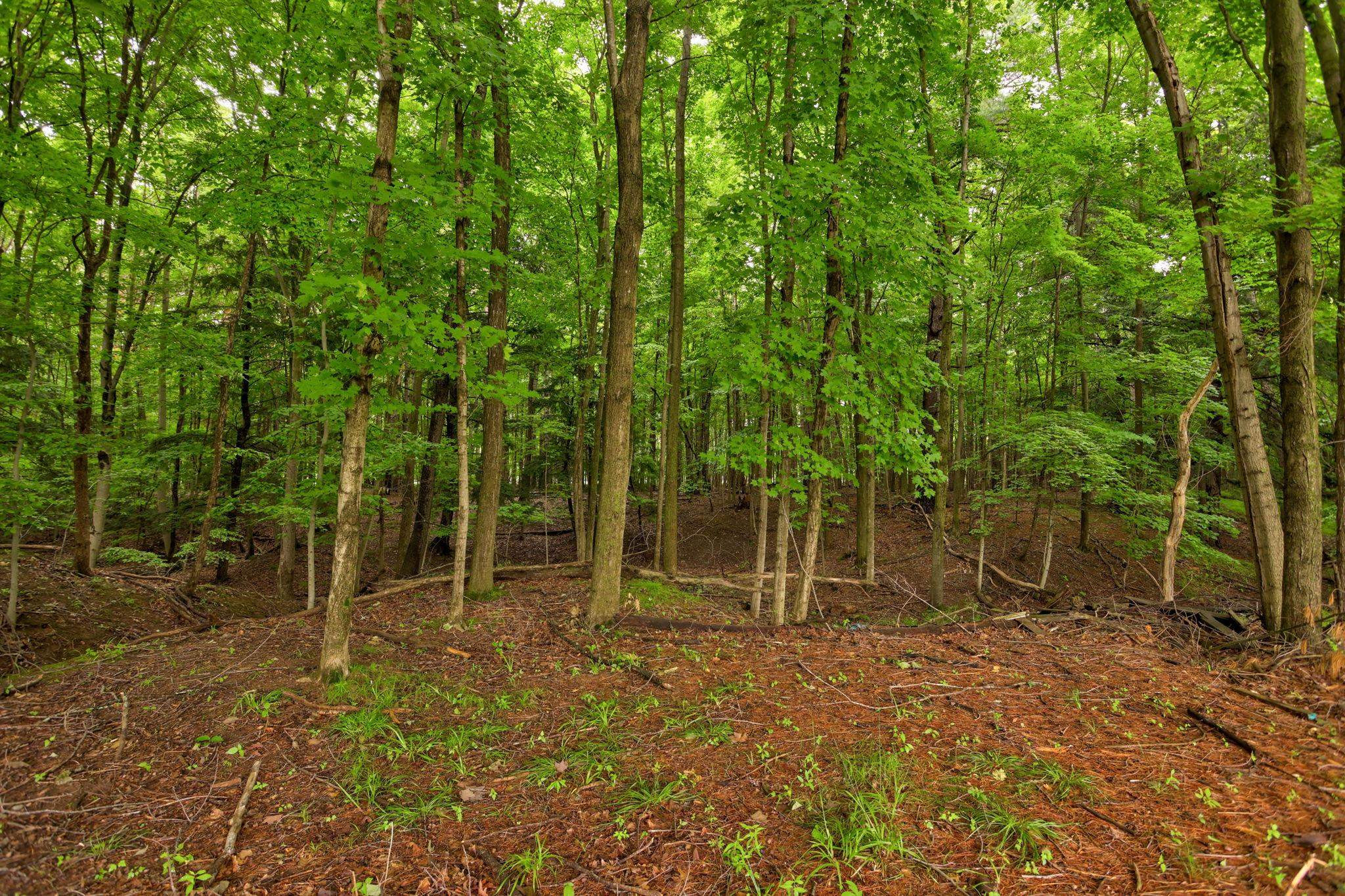 5852 Pinkerton Road, Vassar, MI 48768 — Photo 36