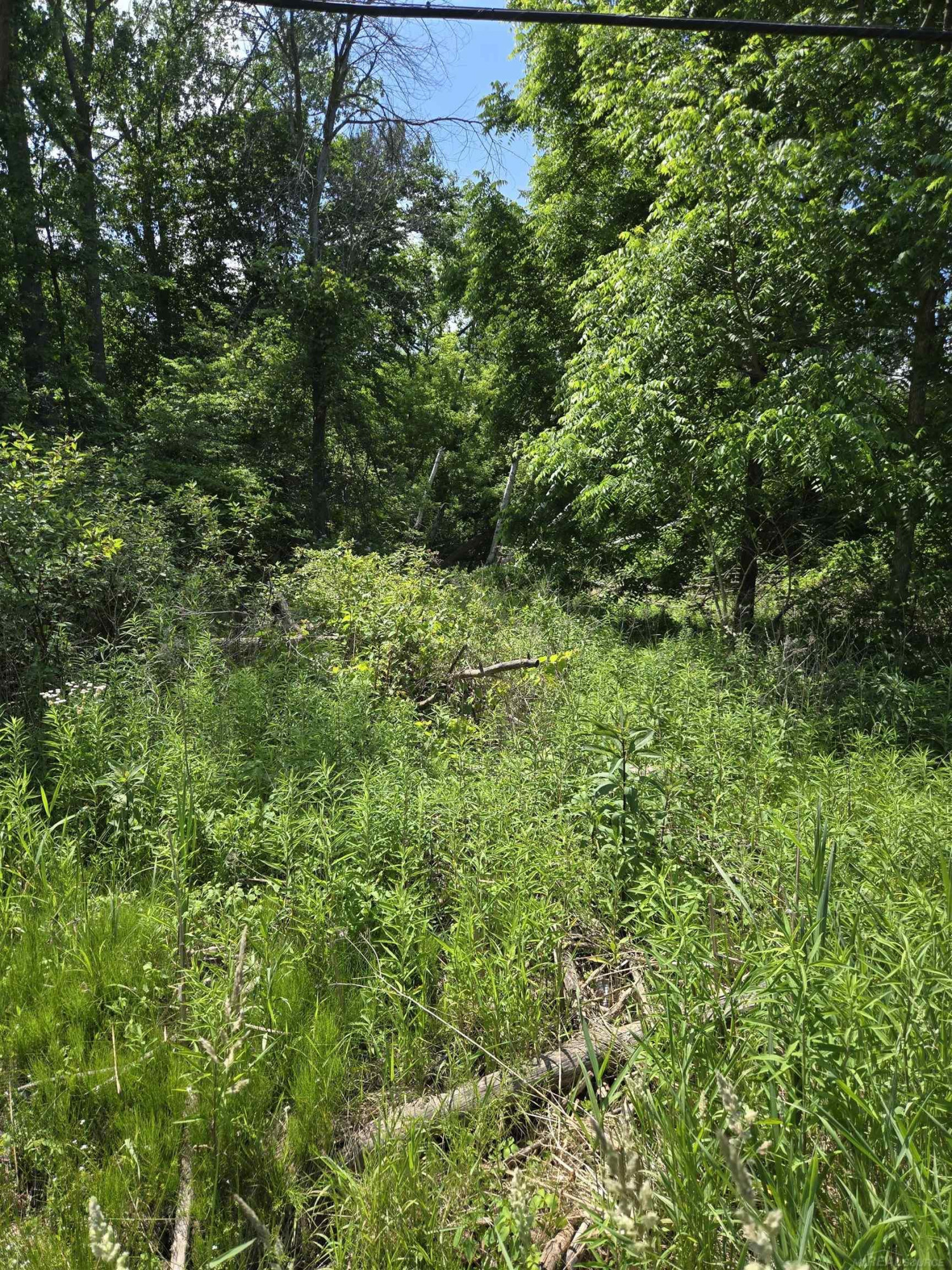 TBD Lakeshore Road, Lexington, MI 48450 — Photo 12