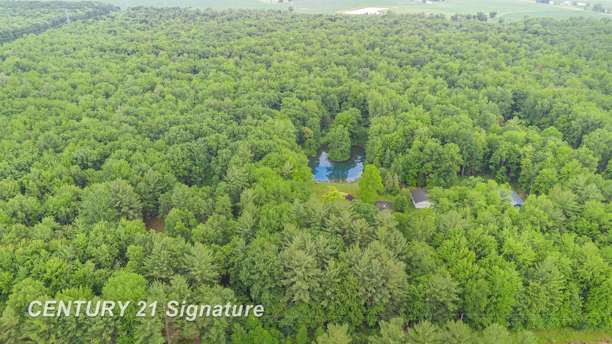 15521 Ithaca Road, Saint Charles, MI 48655 — Photo 29