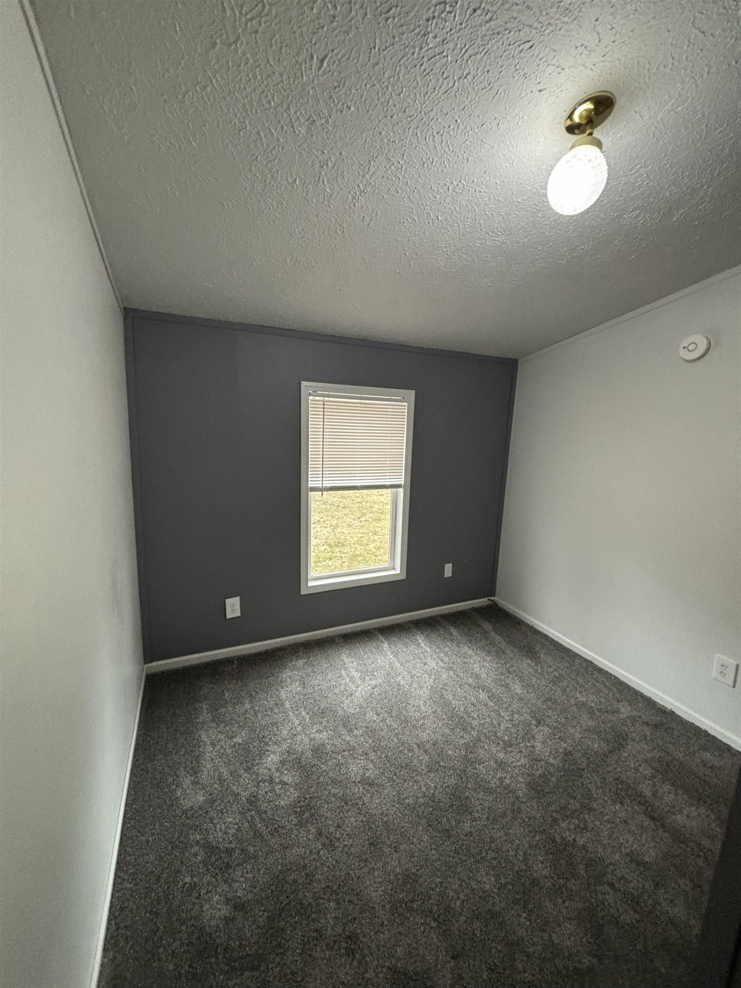 5393 CEDAR Street, Croswell, MI 48422 — Photo 7