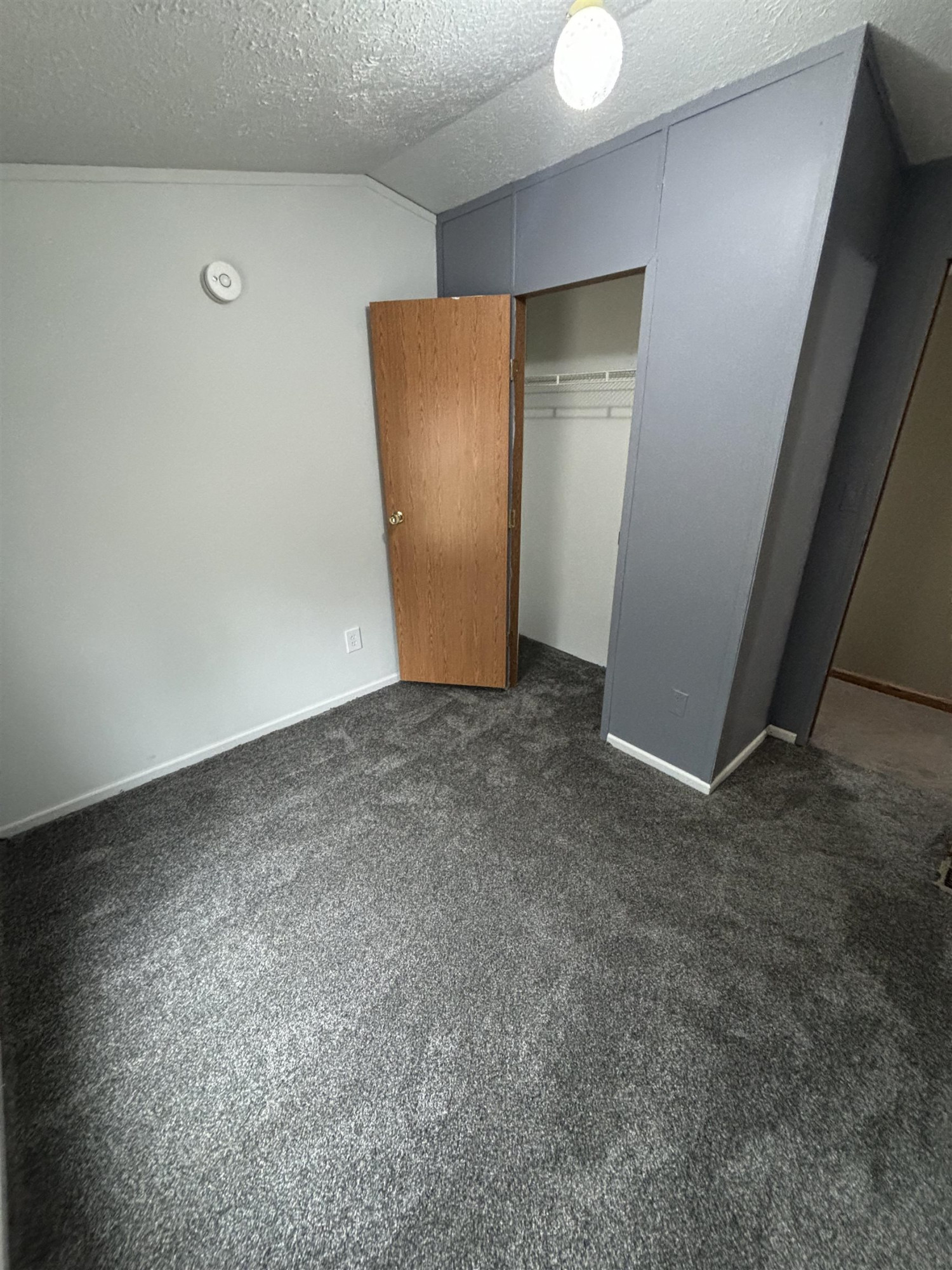 5393 CEDAR Street, Croswell, MI 48422 — Photo 8