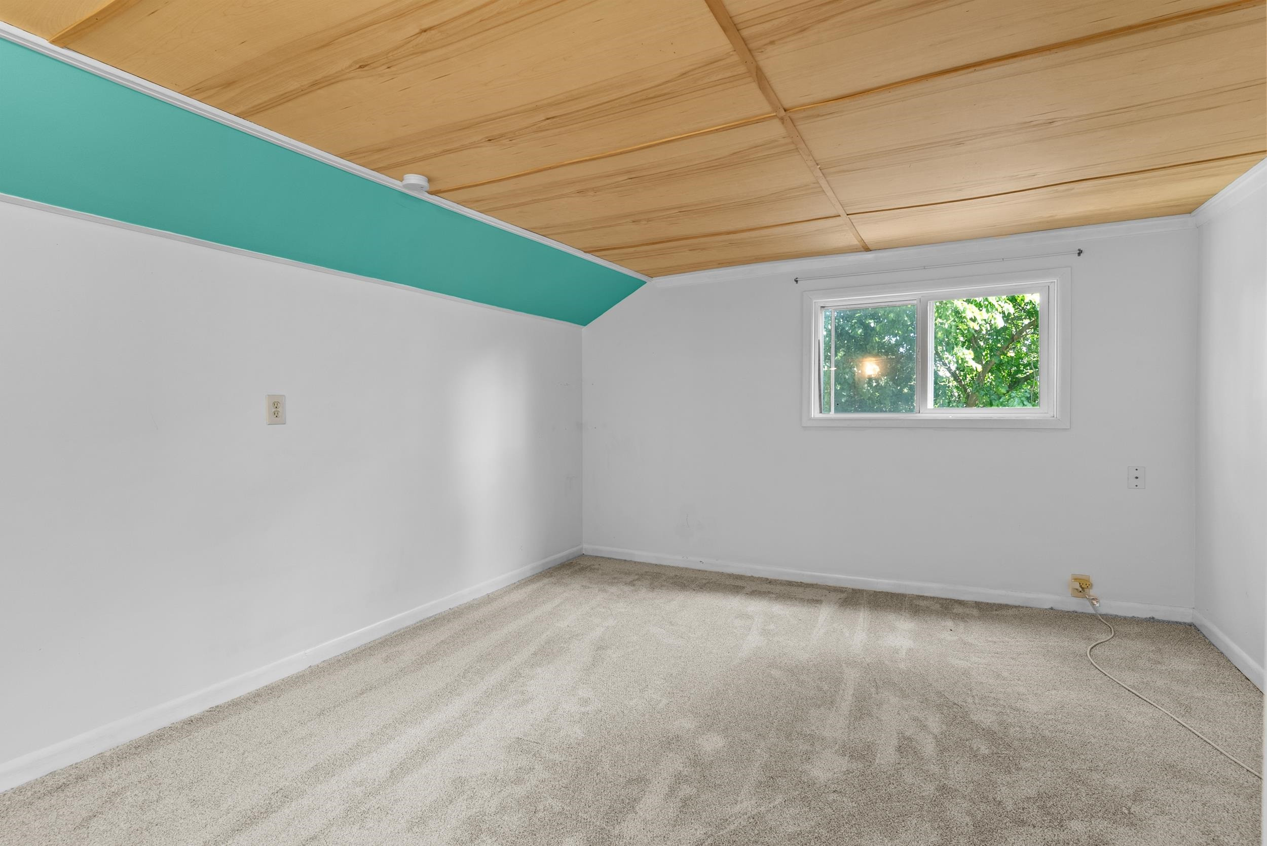219 S Saginaw Street, Byron, MI 48418 — Photo 43