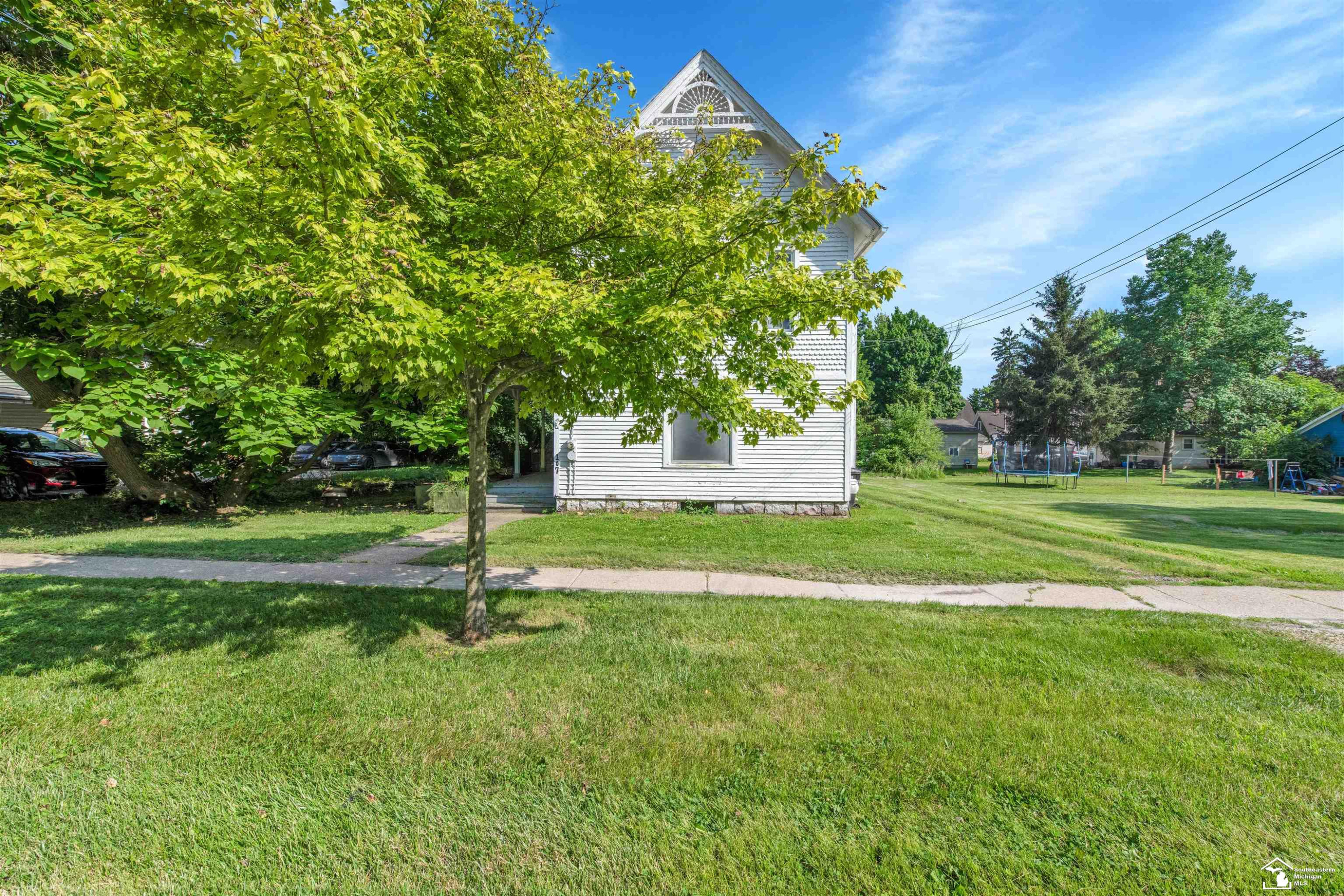 107 W Duncan Street, Manchester, MI 48158 — Photo 3