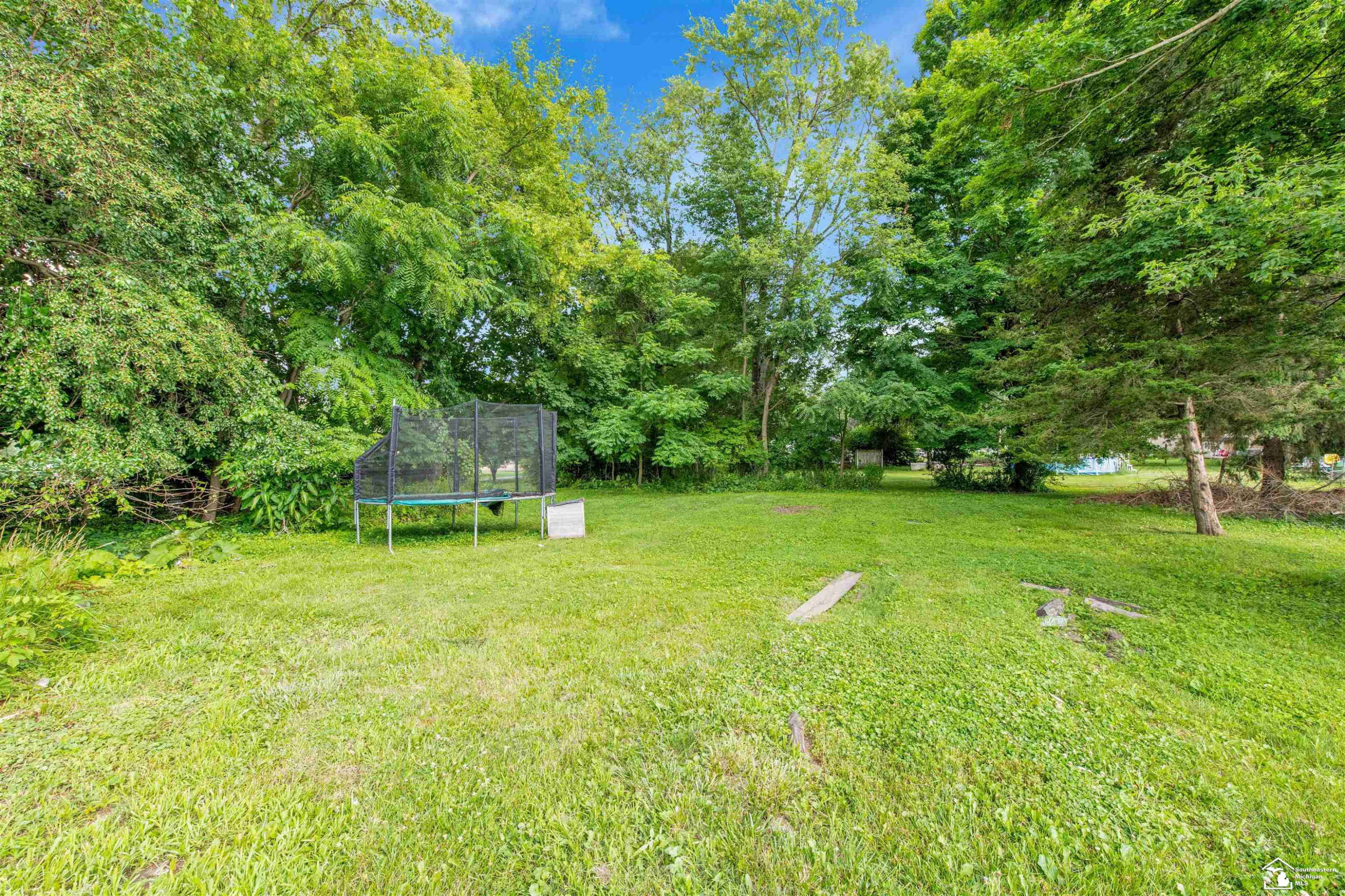 107 W Duncan Street, Manchester, MI 48158 — Photo 6