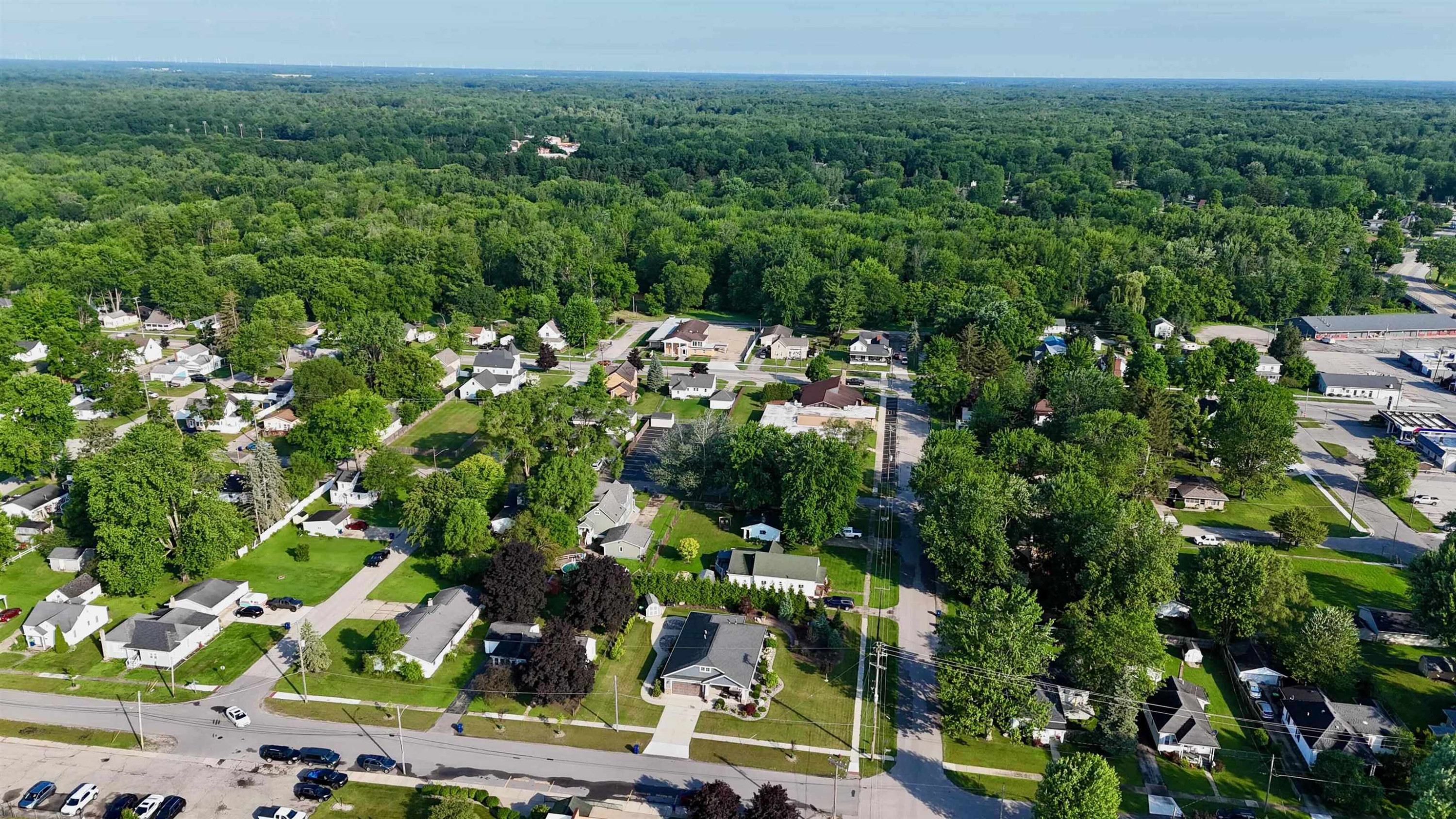 308 W Hosmer Street, Saint Charles, MI 48655 — Photo 6