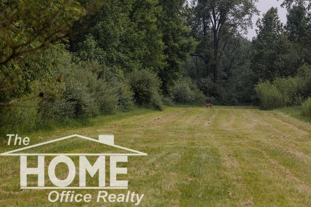 4772 Rossman Road, Kingston, MI 48741 — Photo 41