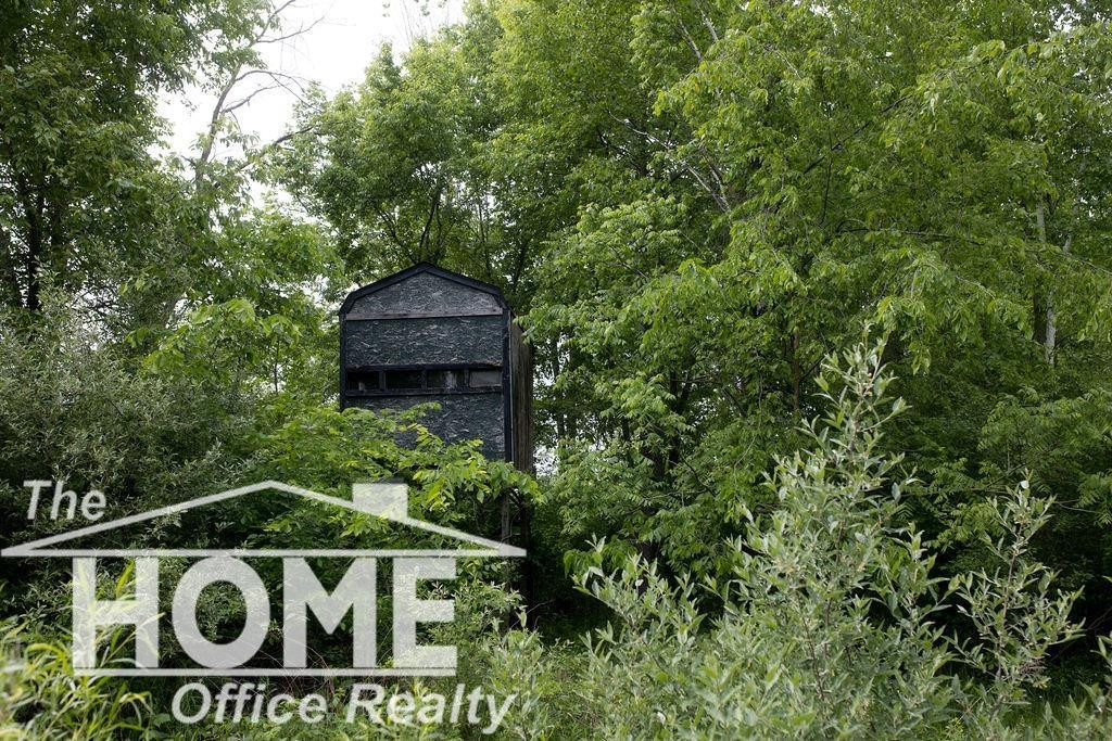 4772 Rossman Road, Kingston, MI 48741 — Photo 44