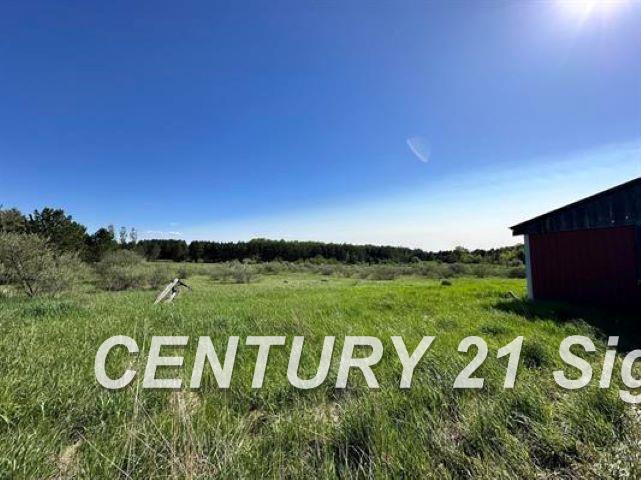 605 N Poor Farm Road, Harrisville, MI 48740 — Photo 8