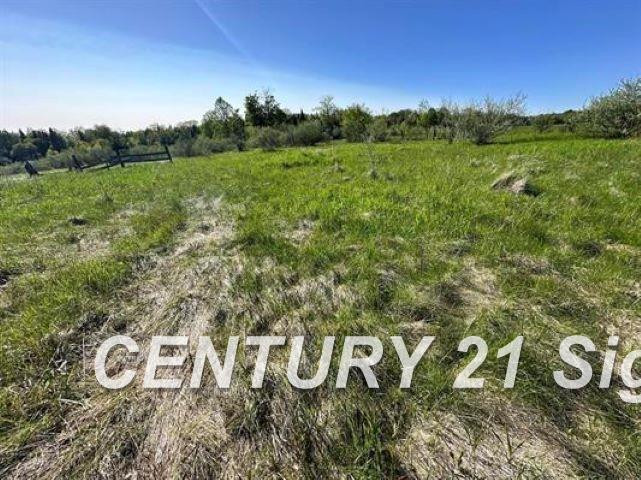 605 N Poor Farm Road, Harrisville, MI 48740 — Photo 9