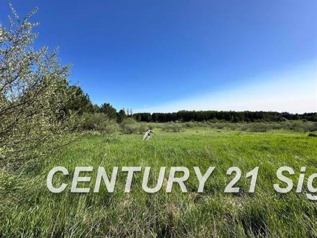 605 N Poor Farm Road, Harrisville, MI 48740 — Photo 10