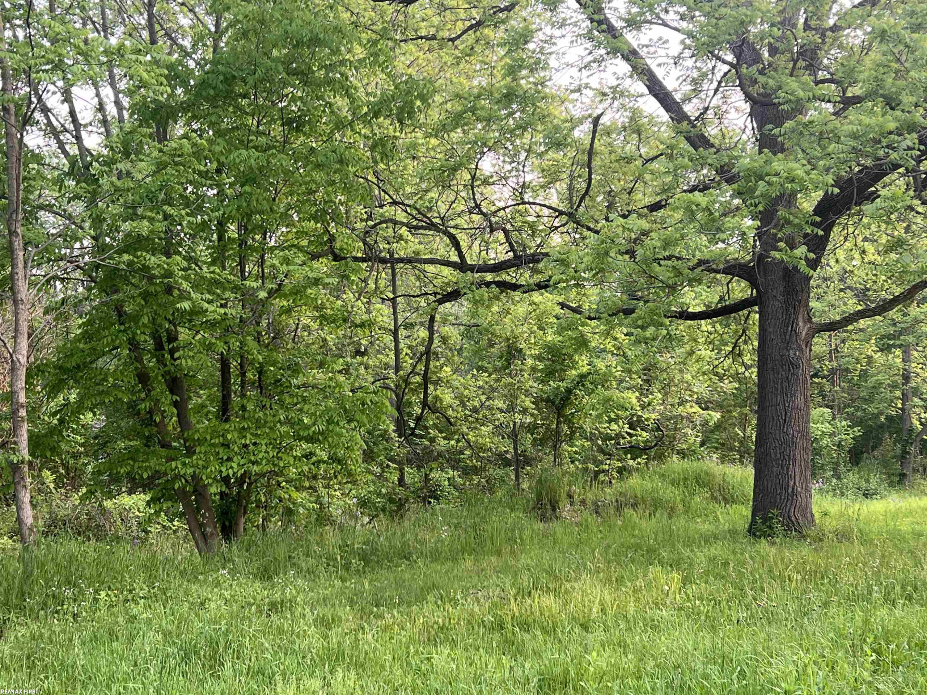 4345 Forest Street, Leonard, MI 48367 — Photo 15