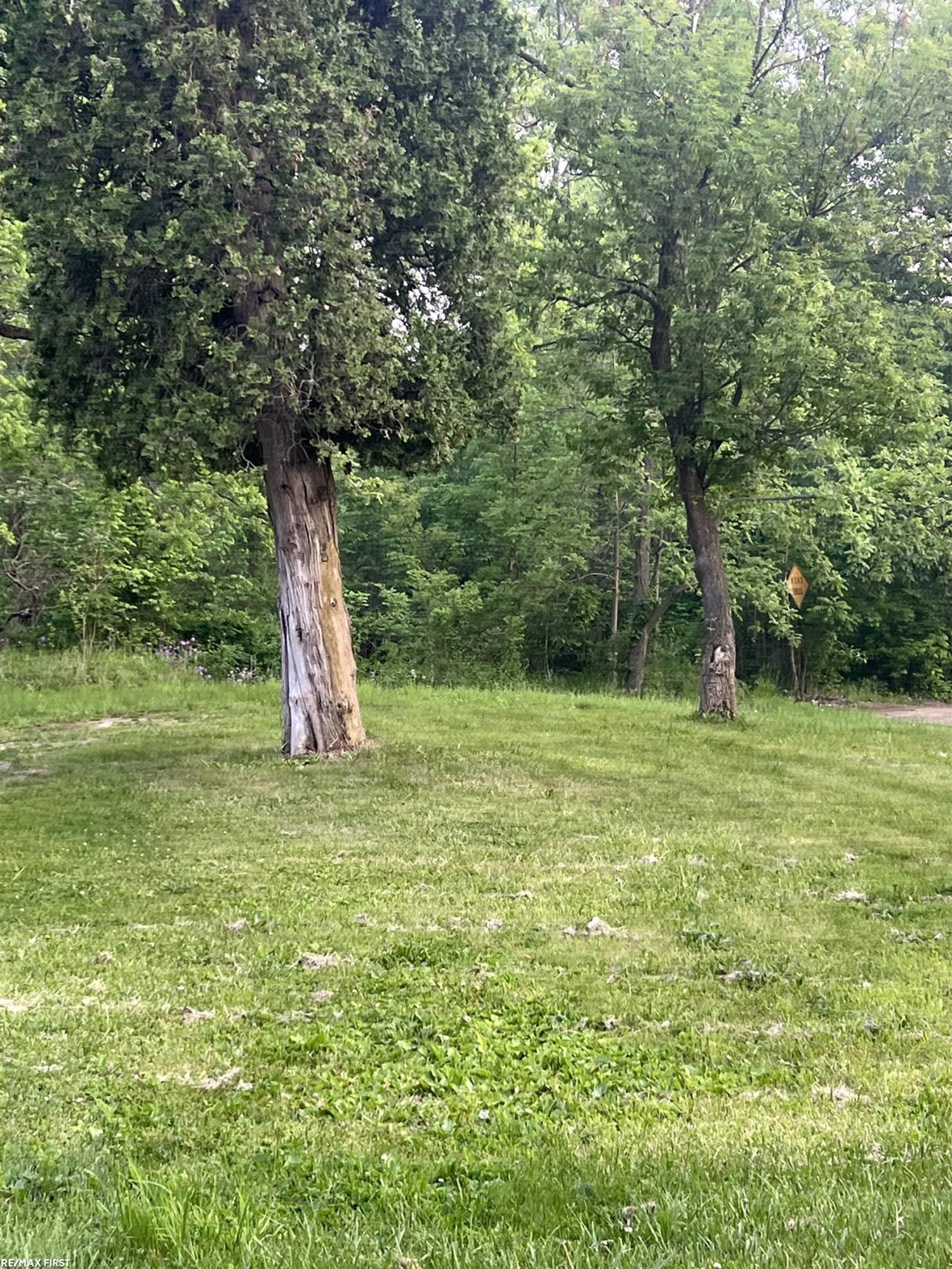 4345 Forest Street, Leonard, MI 48367 — Photo 16