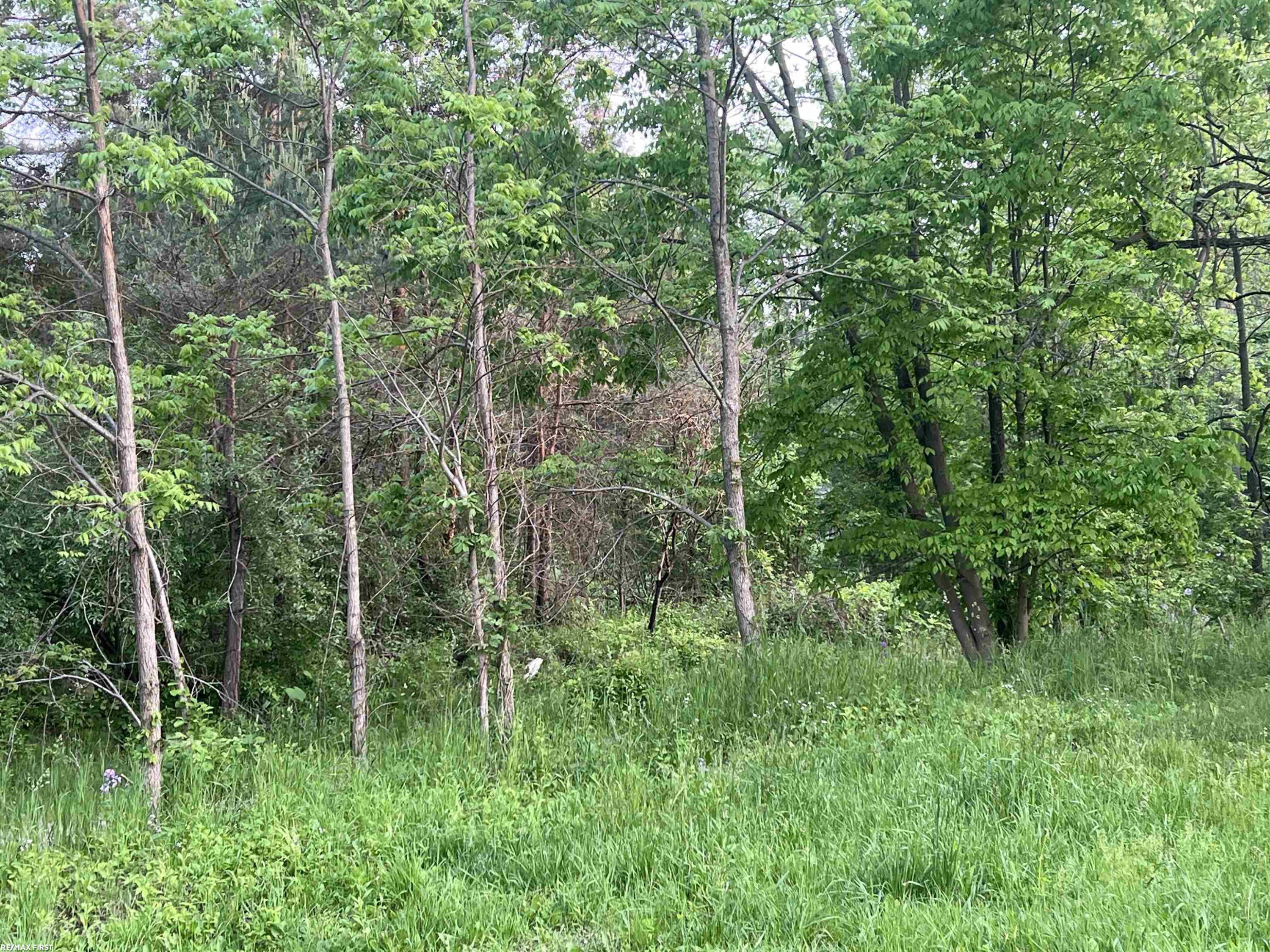 4345 Forest Street, Leonard, MI 48367 — Photo 17