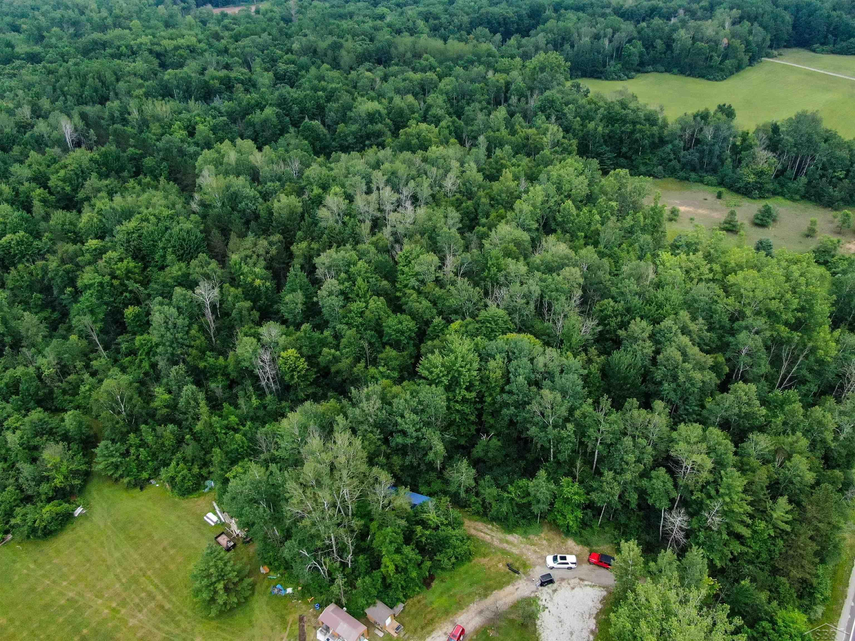1080 W Curtis Road, Sanford, MI 48657 — Photo 24