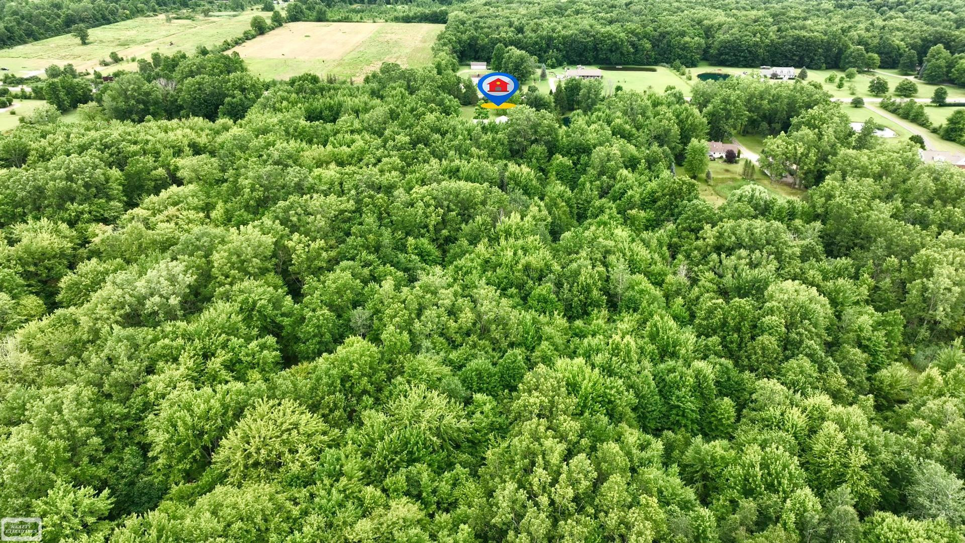 6219 Short Cut Road, MI — Photo 19