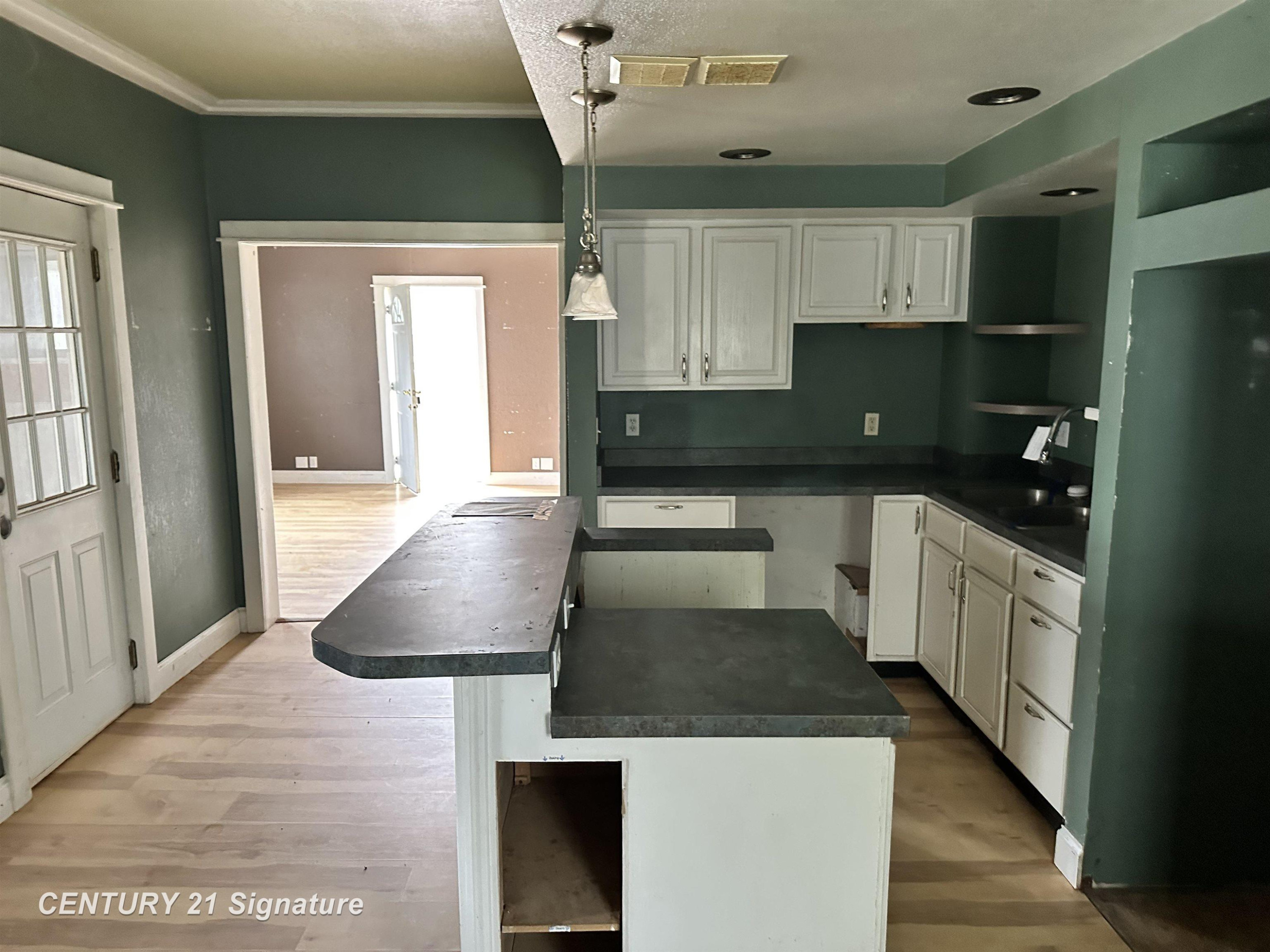 4079 E Monroe Street, Rosebush, MI 48878 — Photo 4