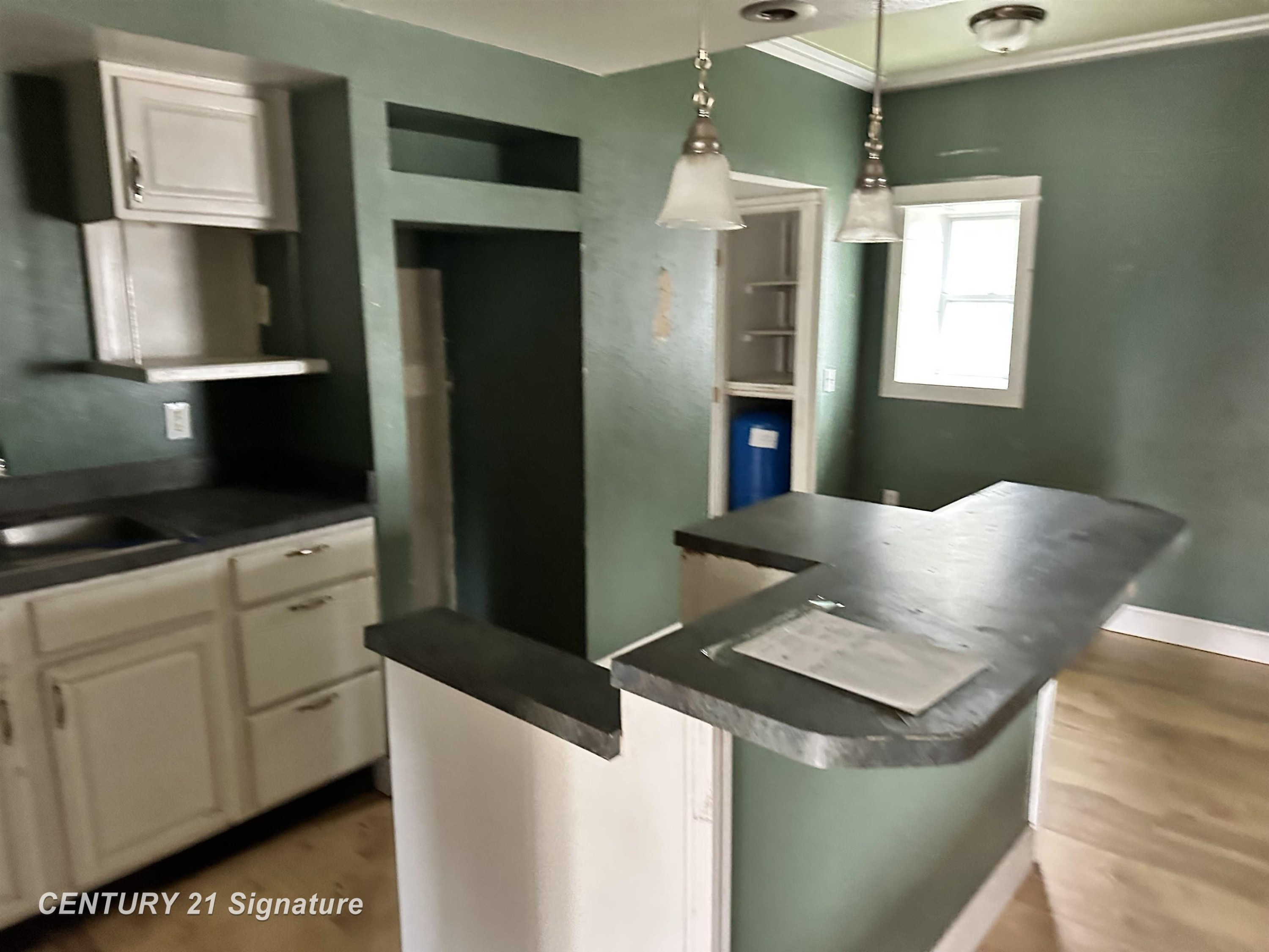4079 E Monroe Street, Rosebush, MI 48878 — Photo 5