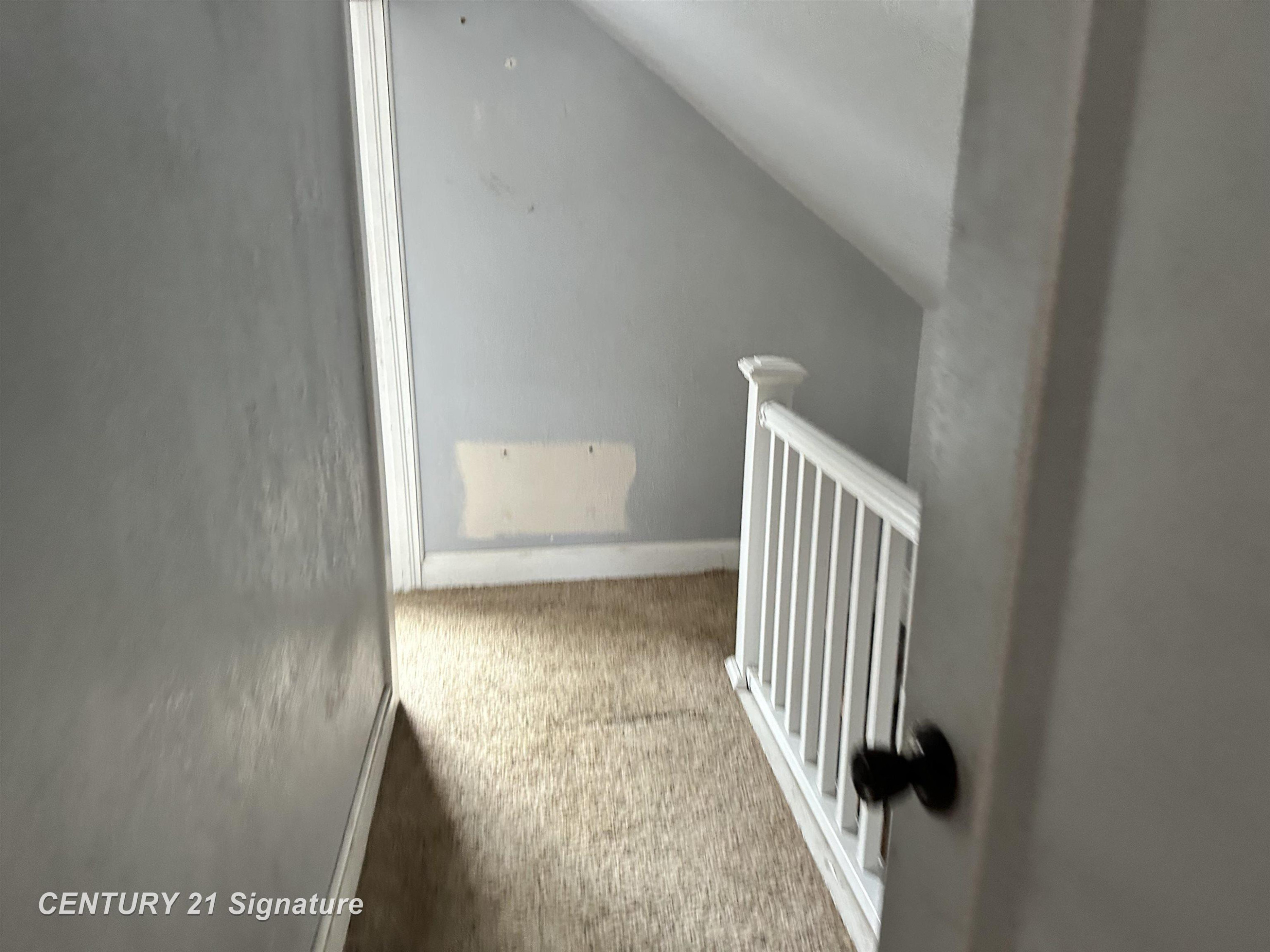 4079 E Monroe Street, Rosebush, MI 48878 — Photo 11