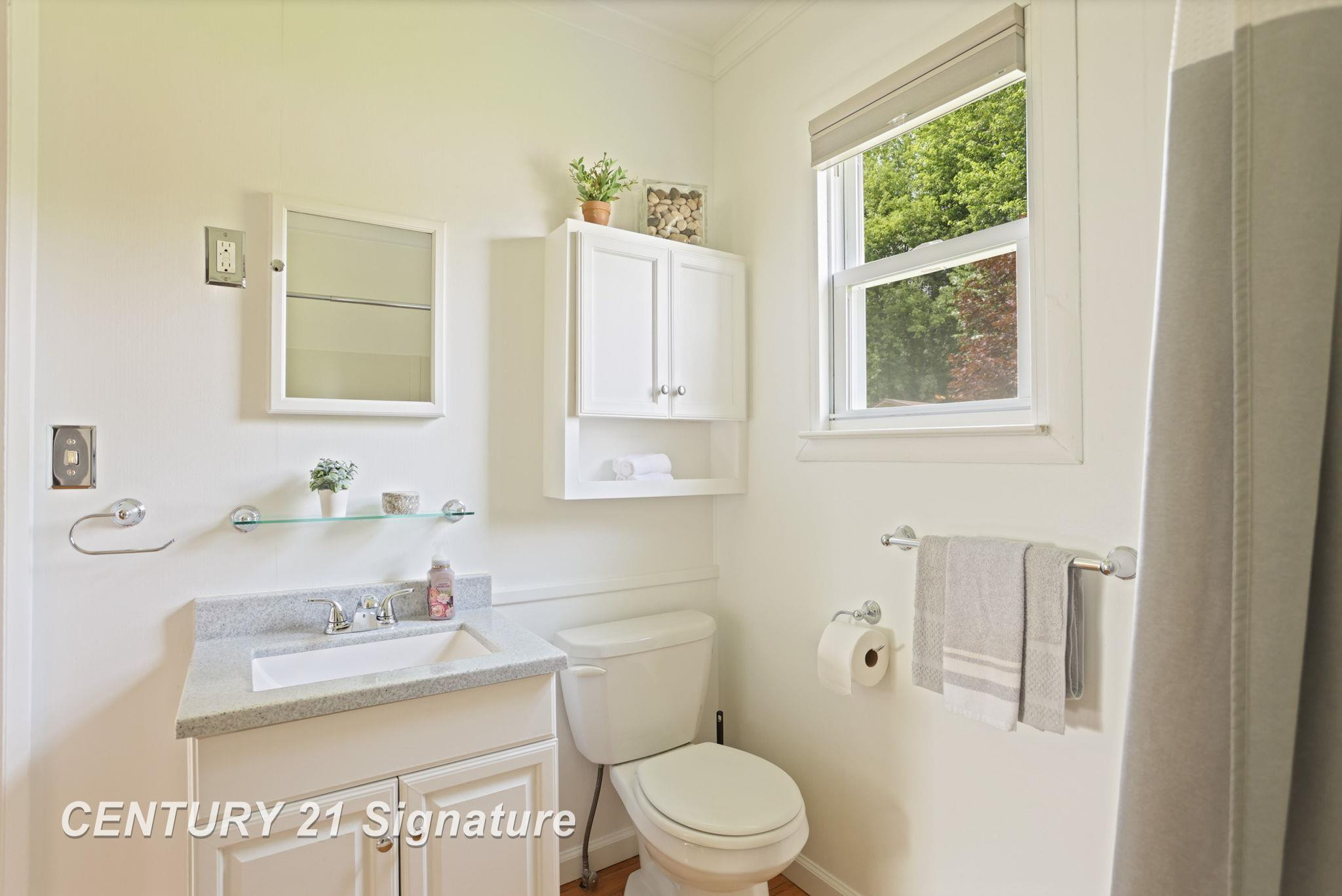209 3rd Street, Linwood, MI 48634 — Photo 19