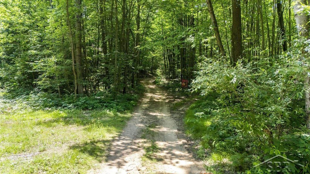 10801 N Pine Grove Road, Vestaburg, MI 48891 — Photo 4