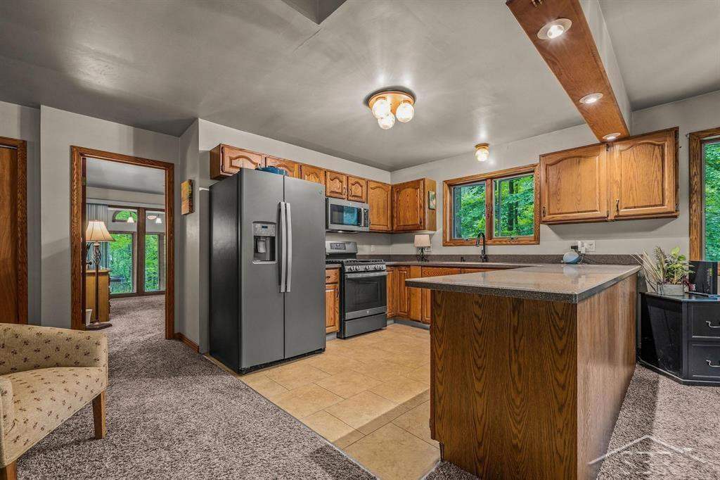 10801 N Pine Grove Road, Vestaburg, MI 48891 — Photo 5