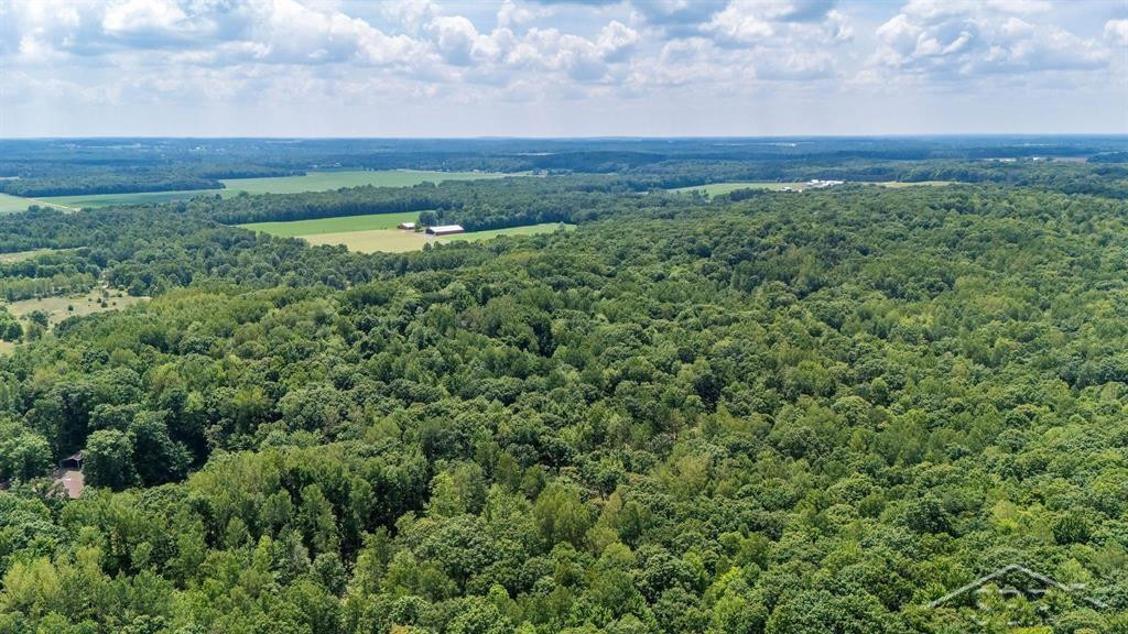 10801 N Pine Grove Road, Vestaburg, MI 48891 — Photo 20