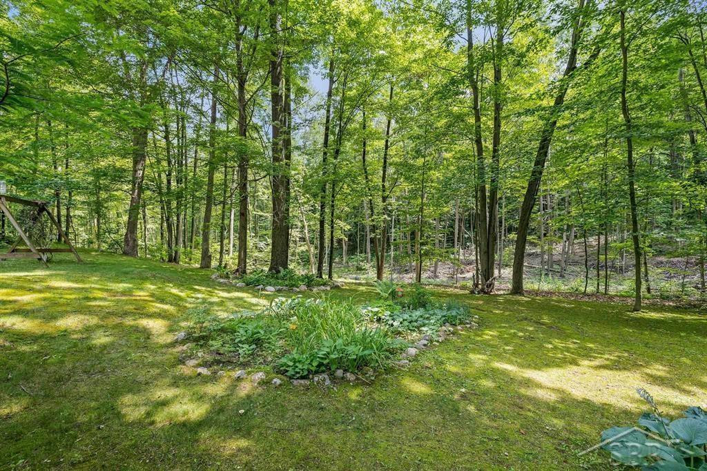 10801 N Pine Grove Road, Vestaburg, MI 48891 — Photo 22