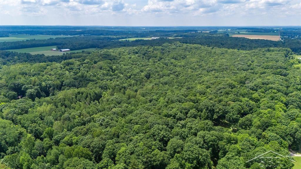 10801 N Pine Grove Road, Vestaburg, MI 48891 — Photo 41
