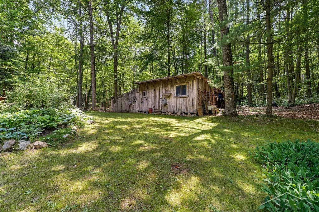 10801 N Pine Grove Road, Vestaburg, MI 48891 — Photo 42