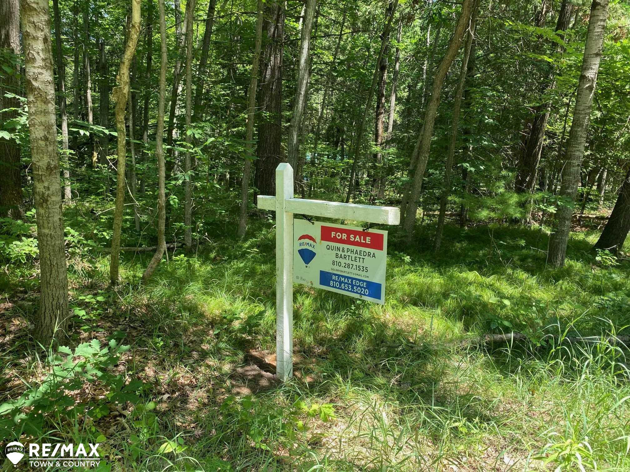 0 Browns Road, Lake, MI 48632
