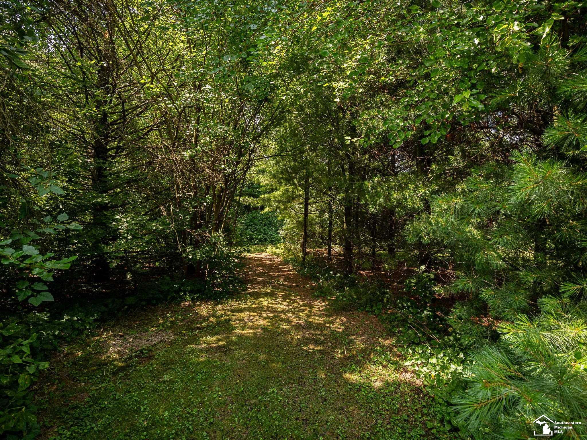 2461 Maple Road, Ida, MI 48140 — Photo 46