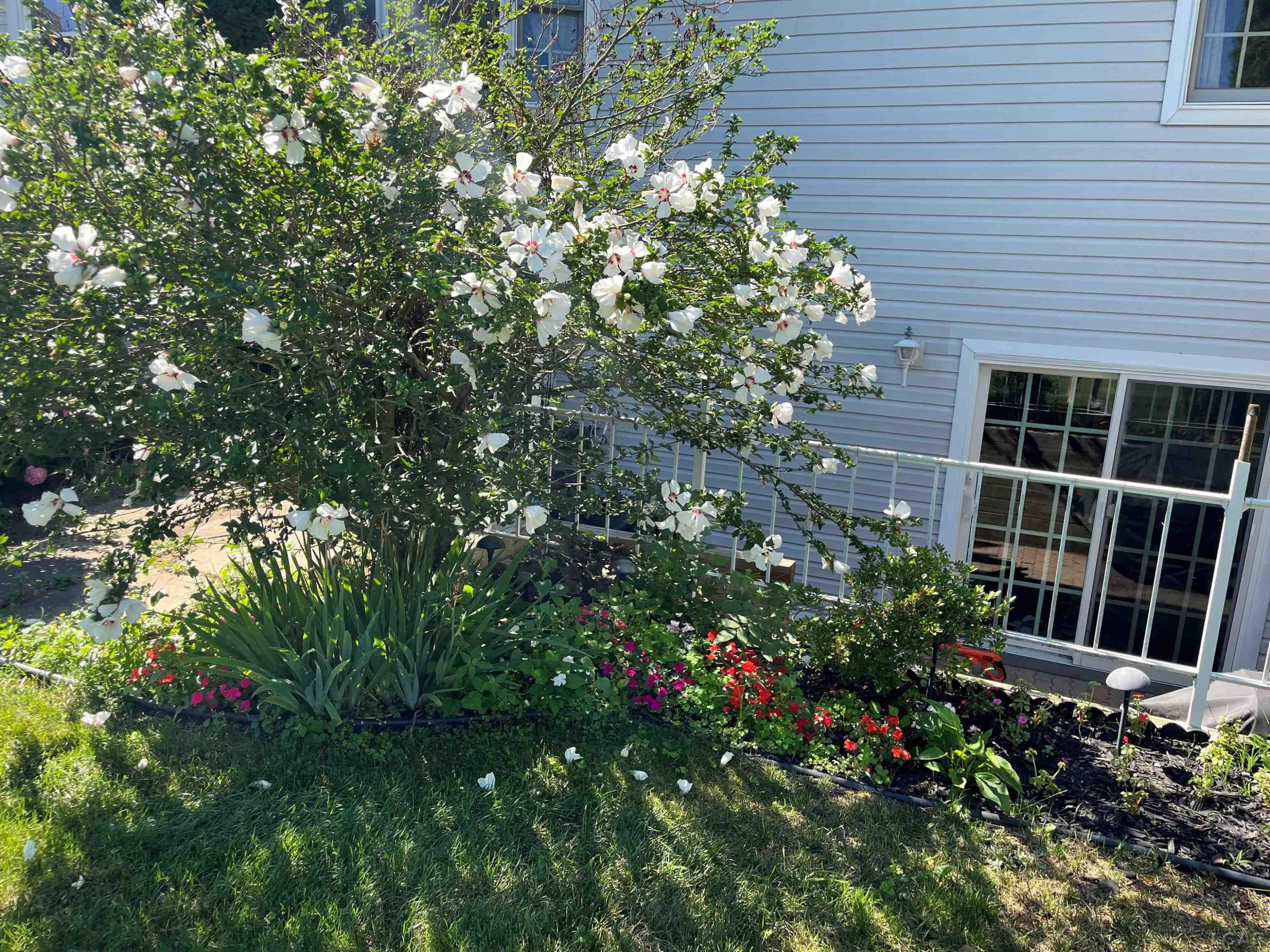 516 River Pointe Circle, Milan, MI — Photo 25