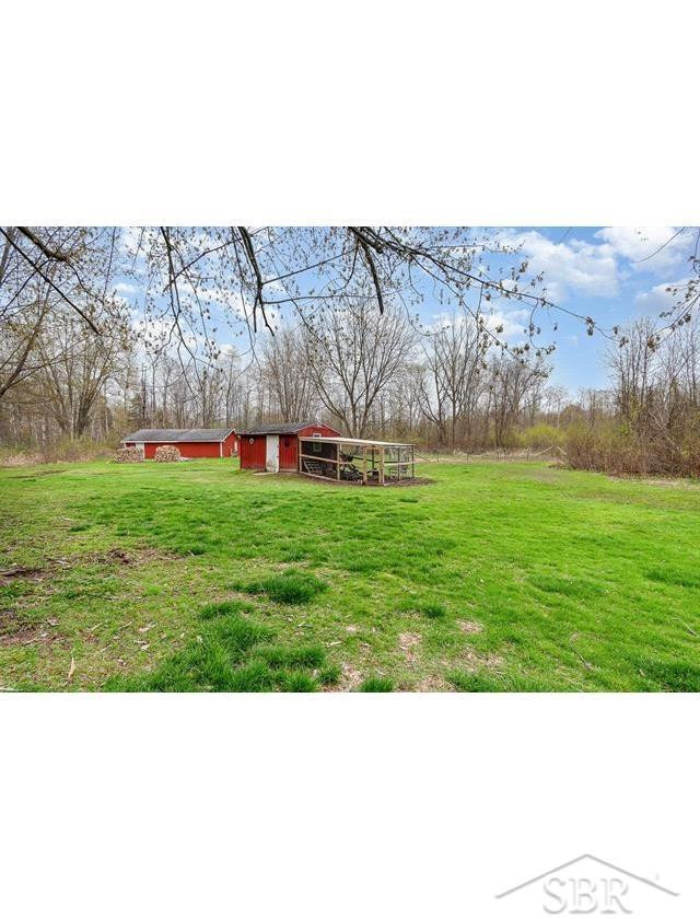 975 W Townline 16 Road, Pinconning, MI 48650 — Photo 22