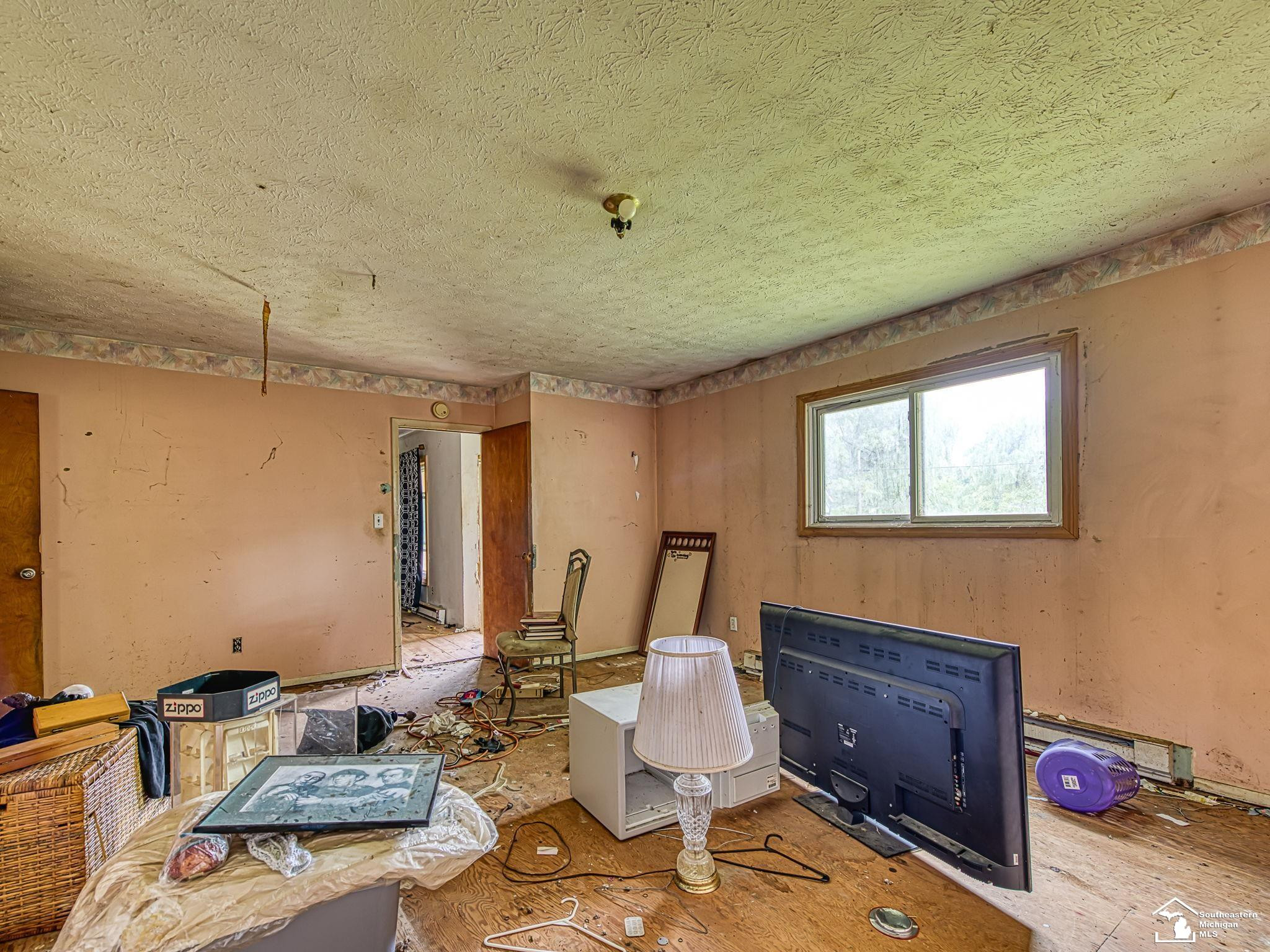 45665 Judd Road, Belleville, MI 48111 — Photo 3