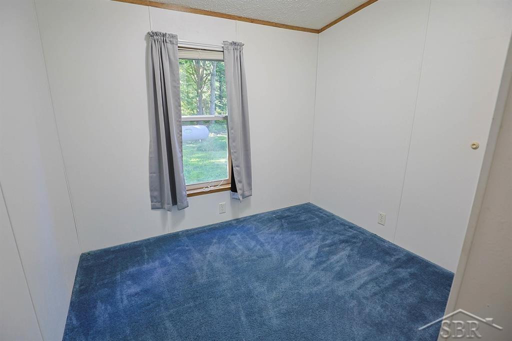 8671 E Clarabella Road, Clare, MI 48617 — Photo 20