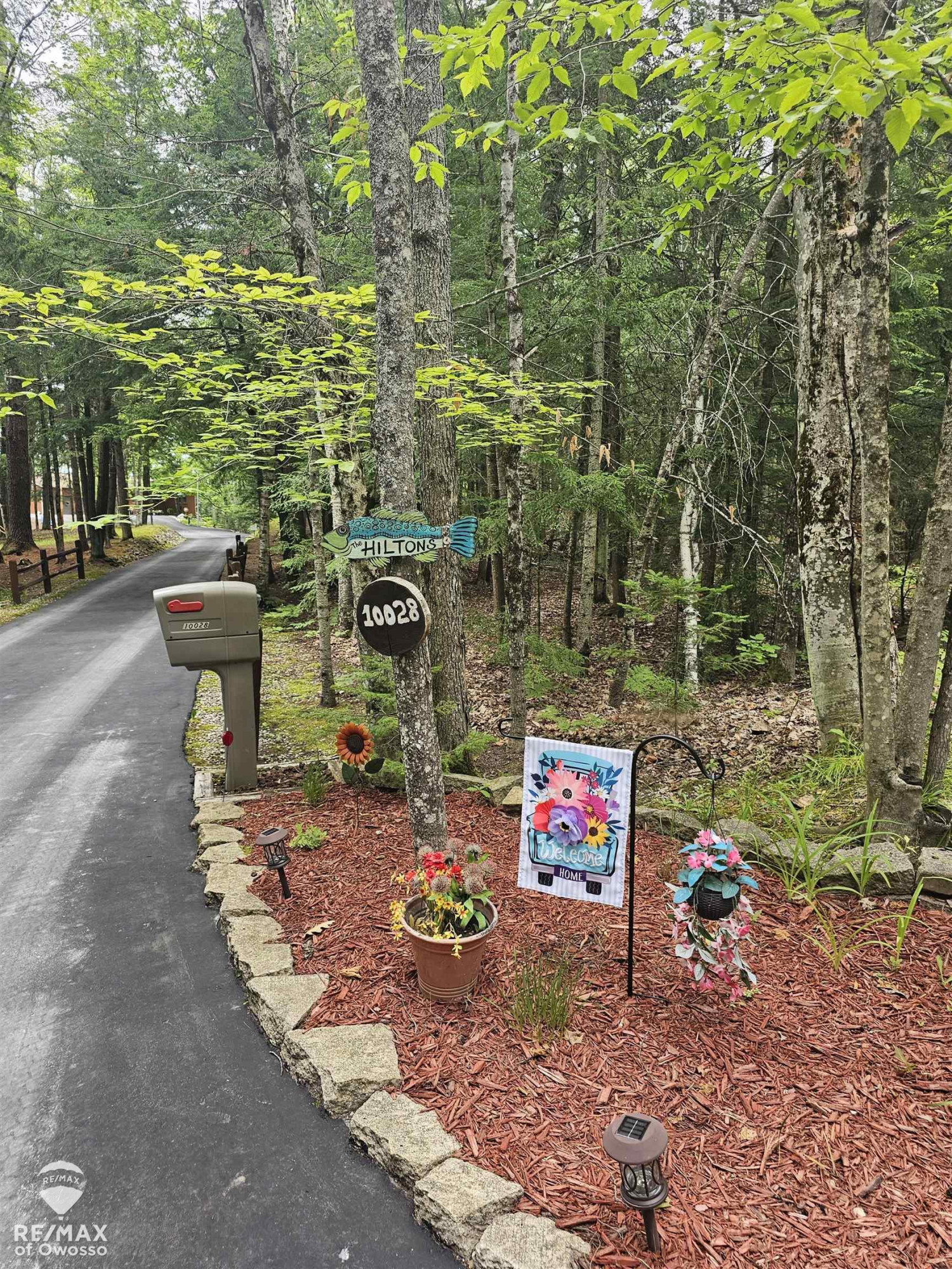 Spile Dam Road, Millersburg, MI 49759 — Photo 2