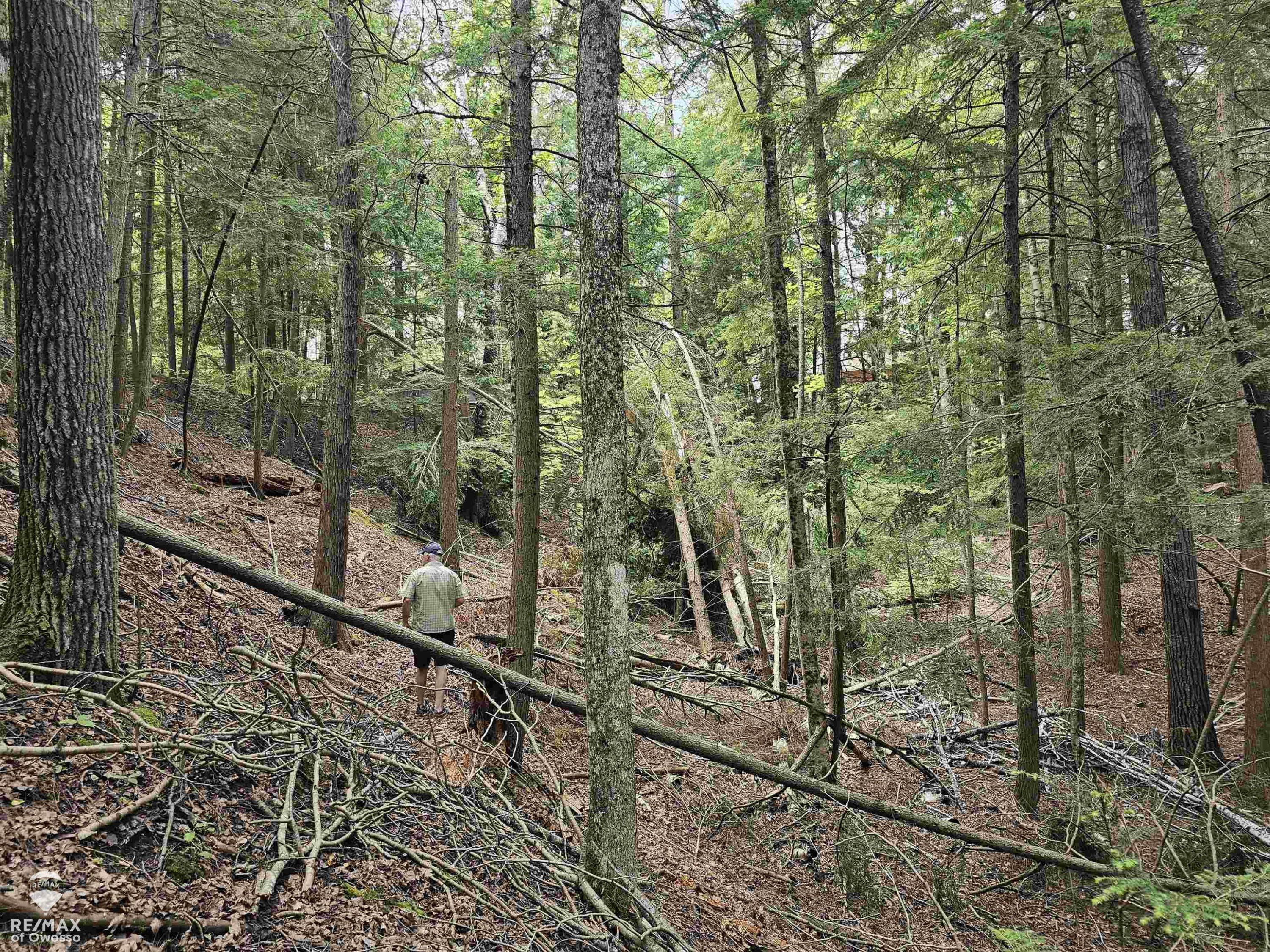 Spile Dam Road, Millersburg, MI 49759 — Photo 9