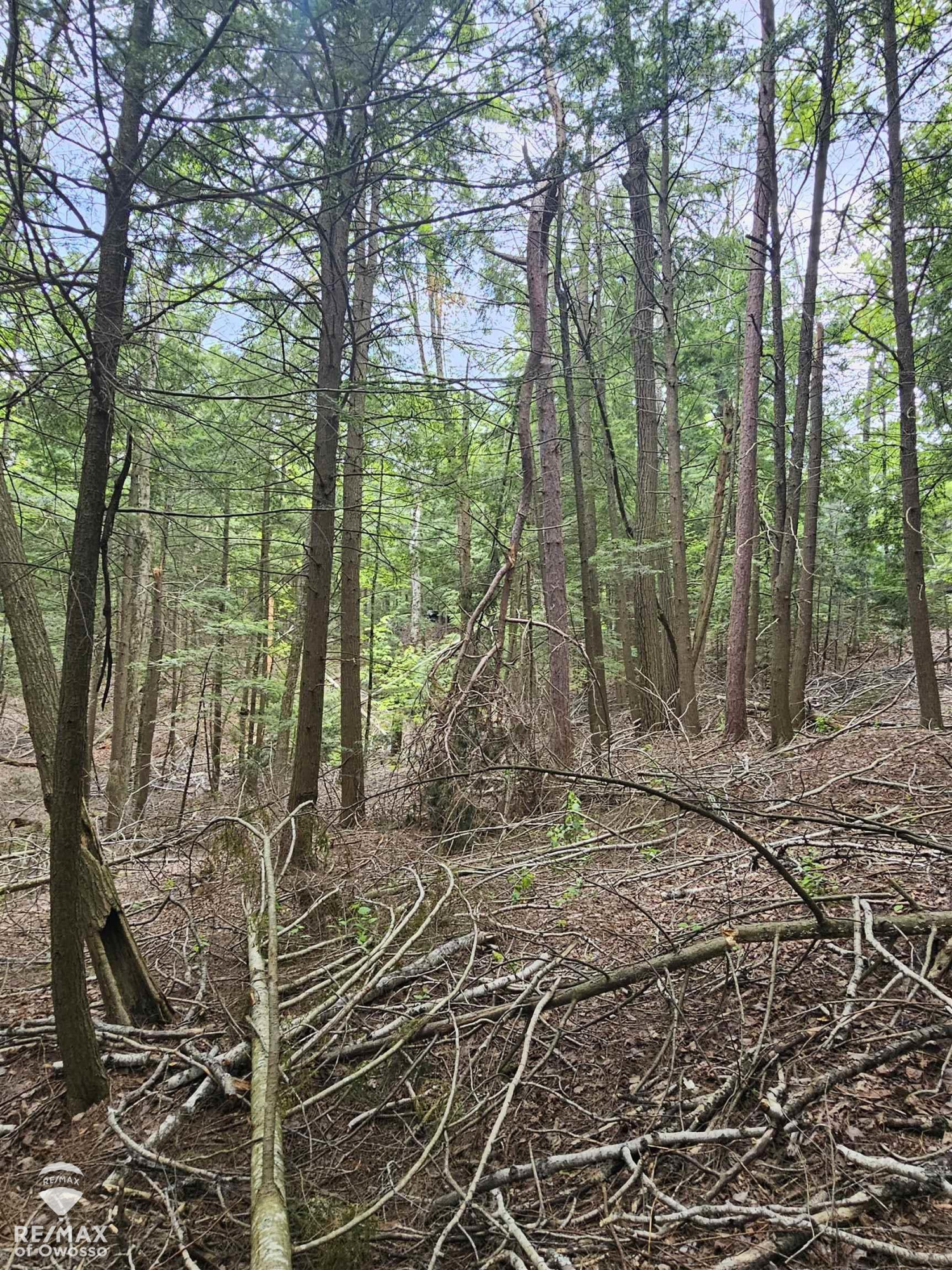 Spile Dam Road, Millersburg, MI 49759 — Photo 11