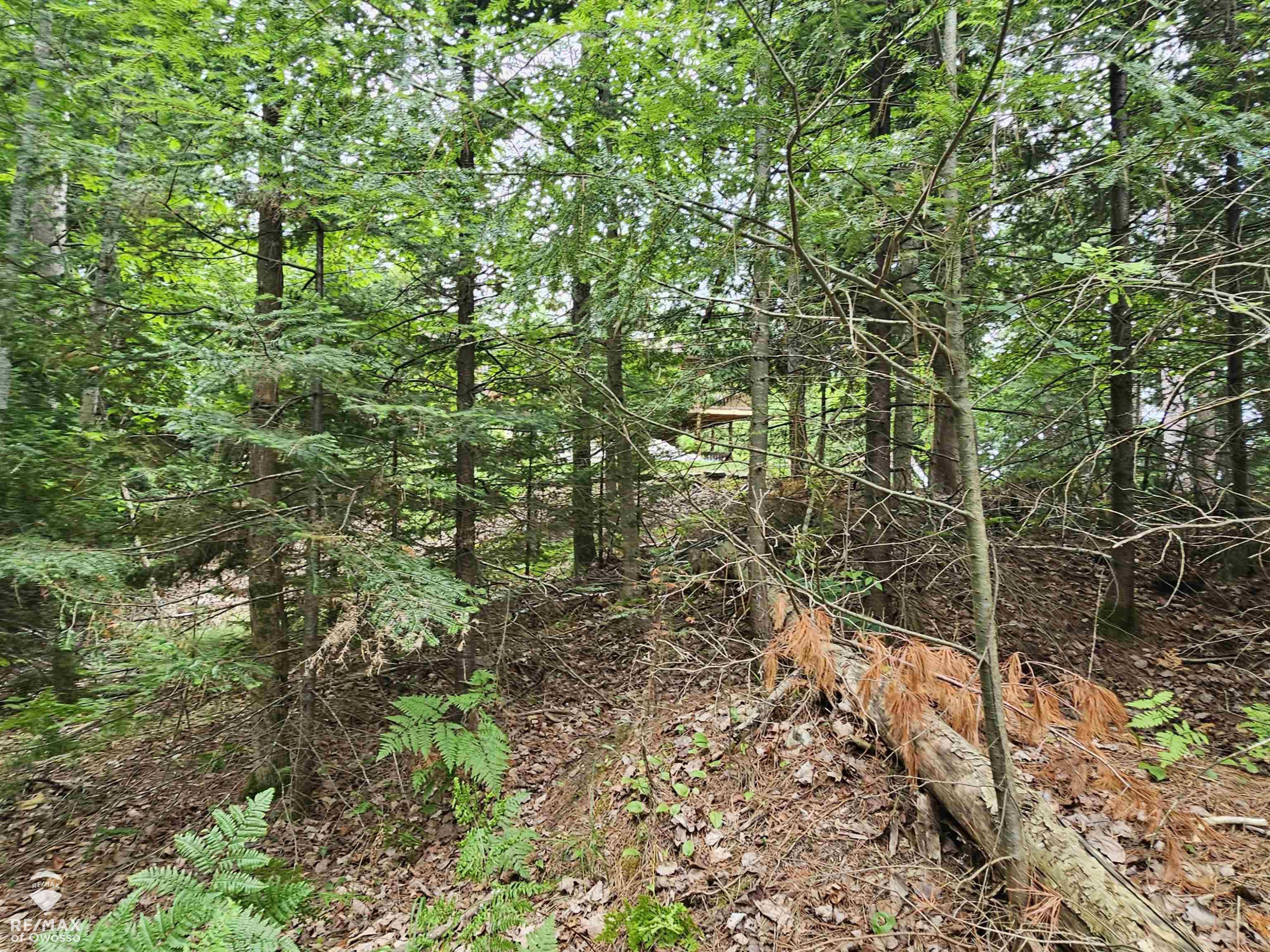 Spile Dam Road, Millersburg, MI 49759 — Photo 12